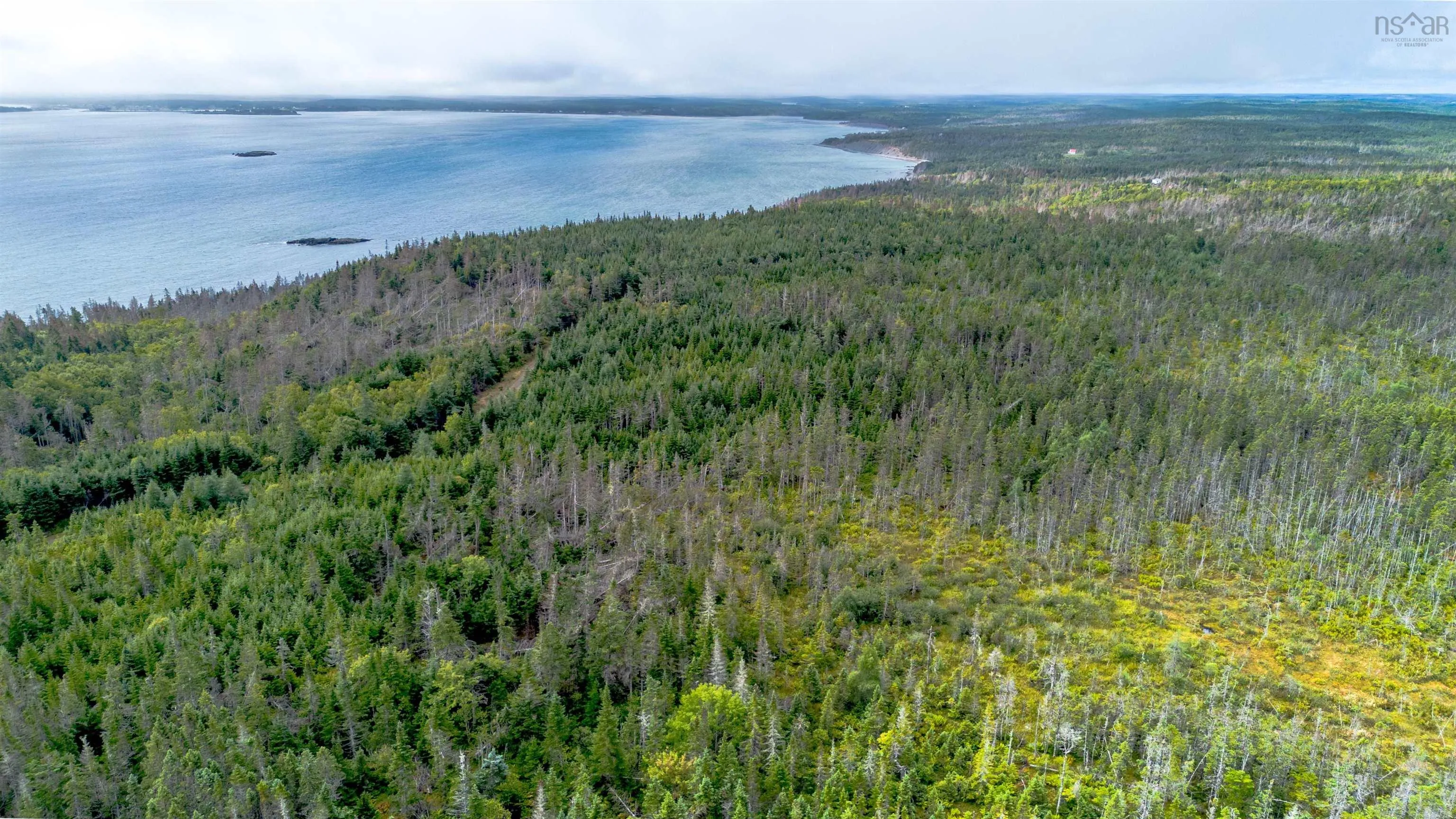 Lot 5&6 Oceanview Road, French Road, NS B0A 1P0, ,Land,For Sale,Oceanview,202522733