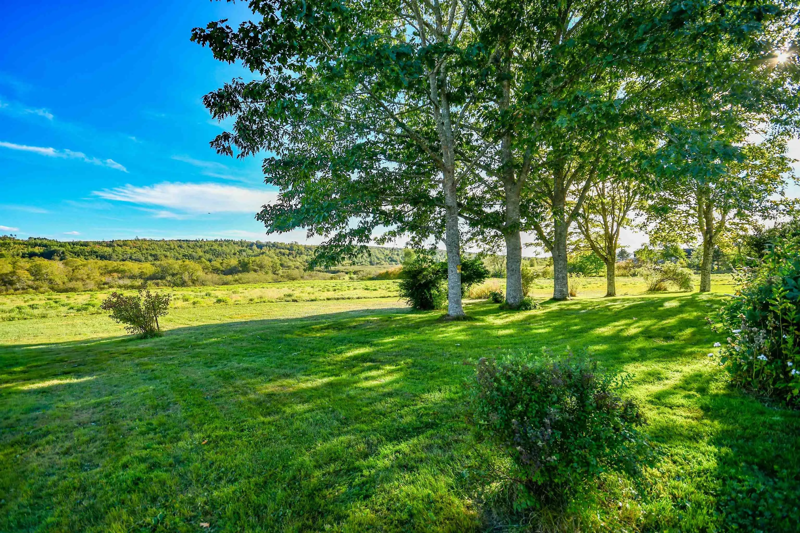 5134 Stewiacke Road, South Branch, NS B0N 2P0, 4 Bedrooms Bedrooms, ,1 BathroomBathrooms,Residential,For Sale,Stewiacke,202519291