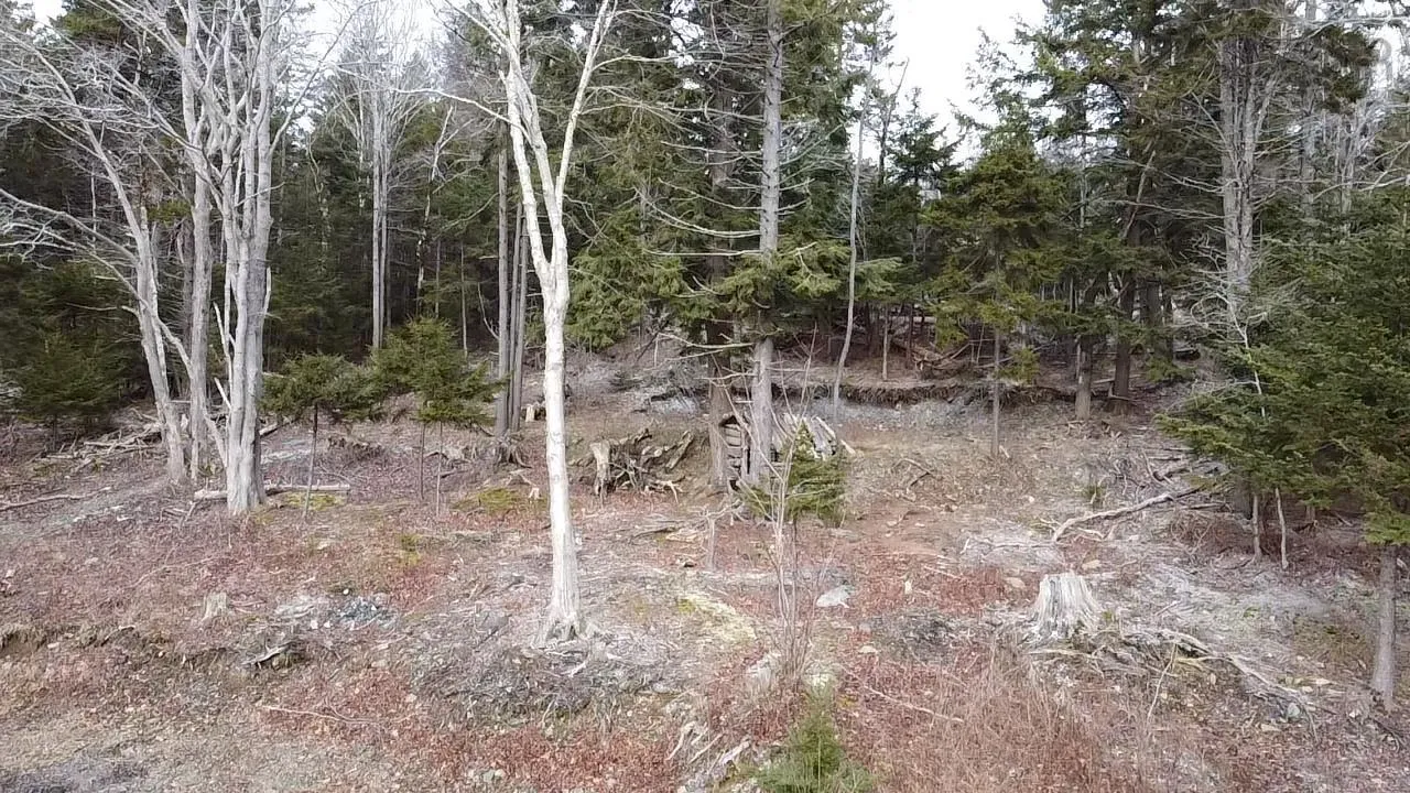 974 Fall River Road, Fall River Ns B2t 1e9, ,Land,For Sale,Fall River,202504974