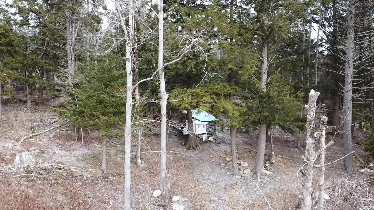 974 Fall River Road, Fall River Ns B2t 1e9, ,Land,For Sale,Fall River,202504974