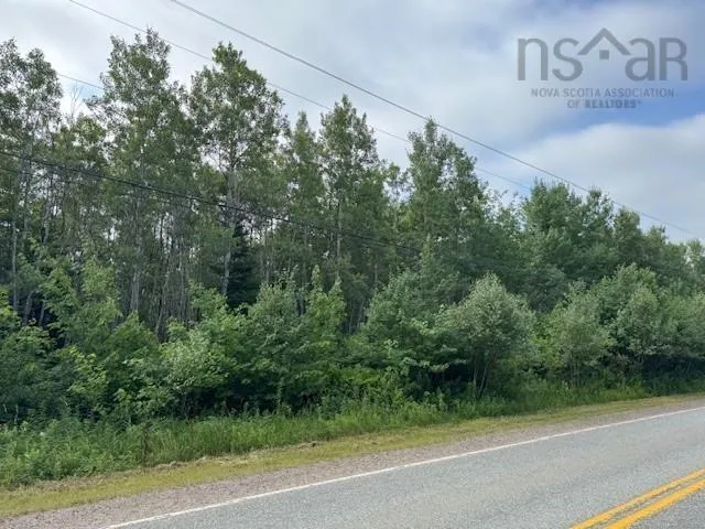 Hwy #2, Alton, NS B0N 2J0, ,Land,For Sale,Hwy #2,202518715