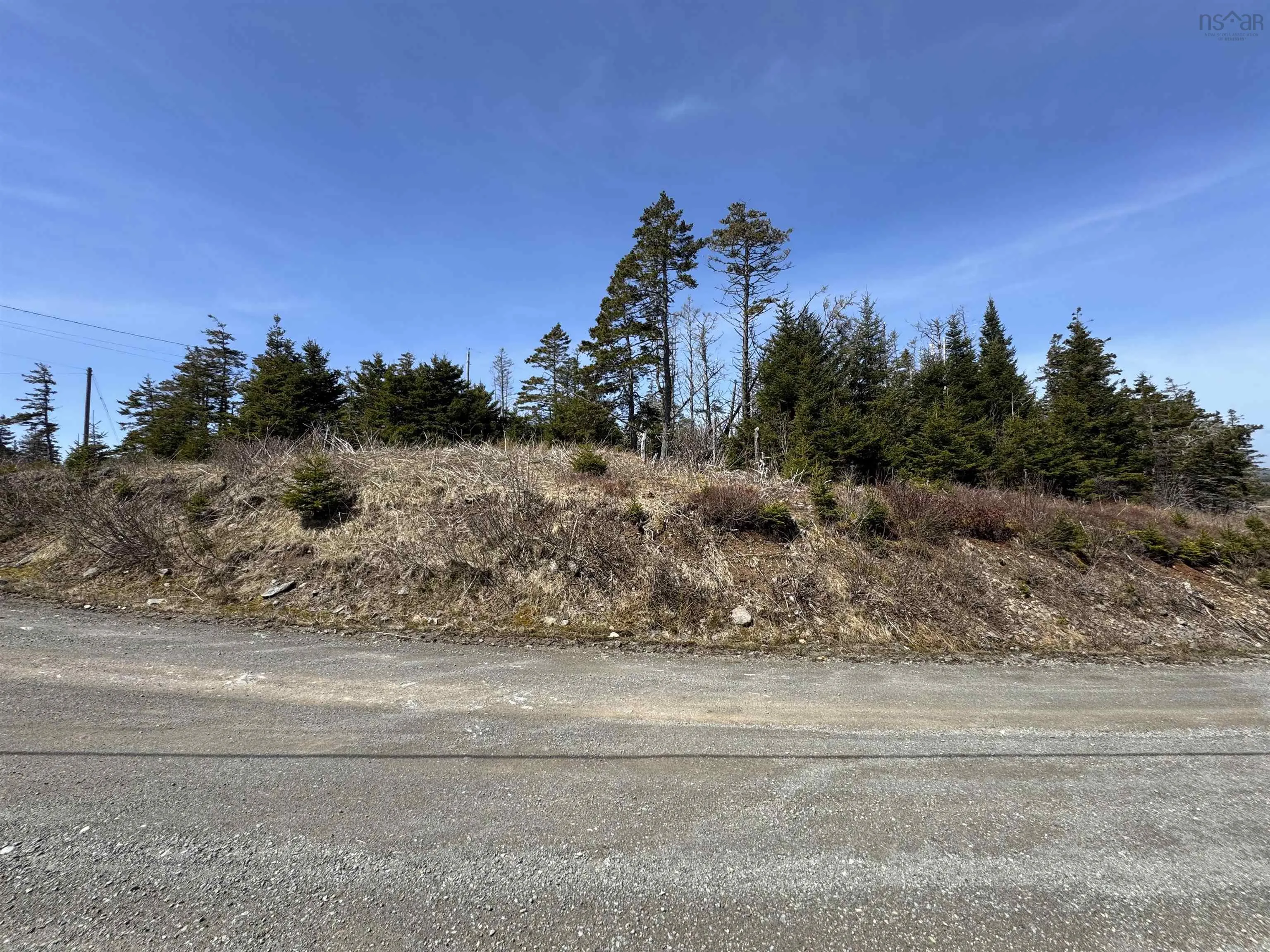96 Clannon Road, Little Harbour, NS B0E 1W0, ,Land,For Sale,Clannon,202520904