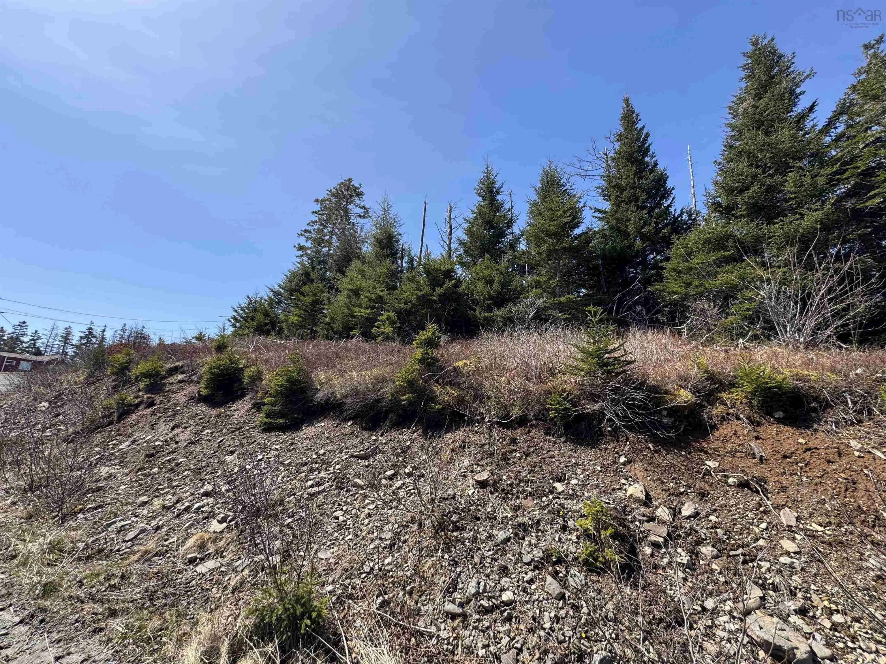 96 Clannon Road, Little Harbour, NS B0E 1W0, ,Land,For Sale,Clannon,202520904