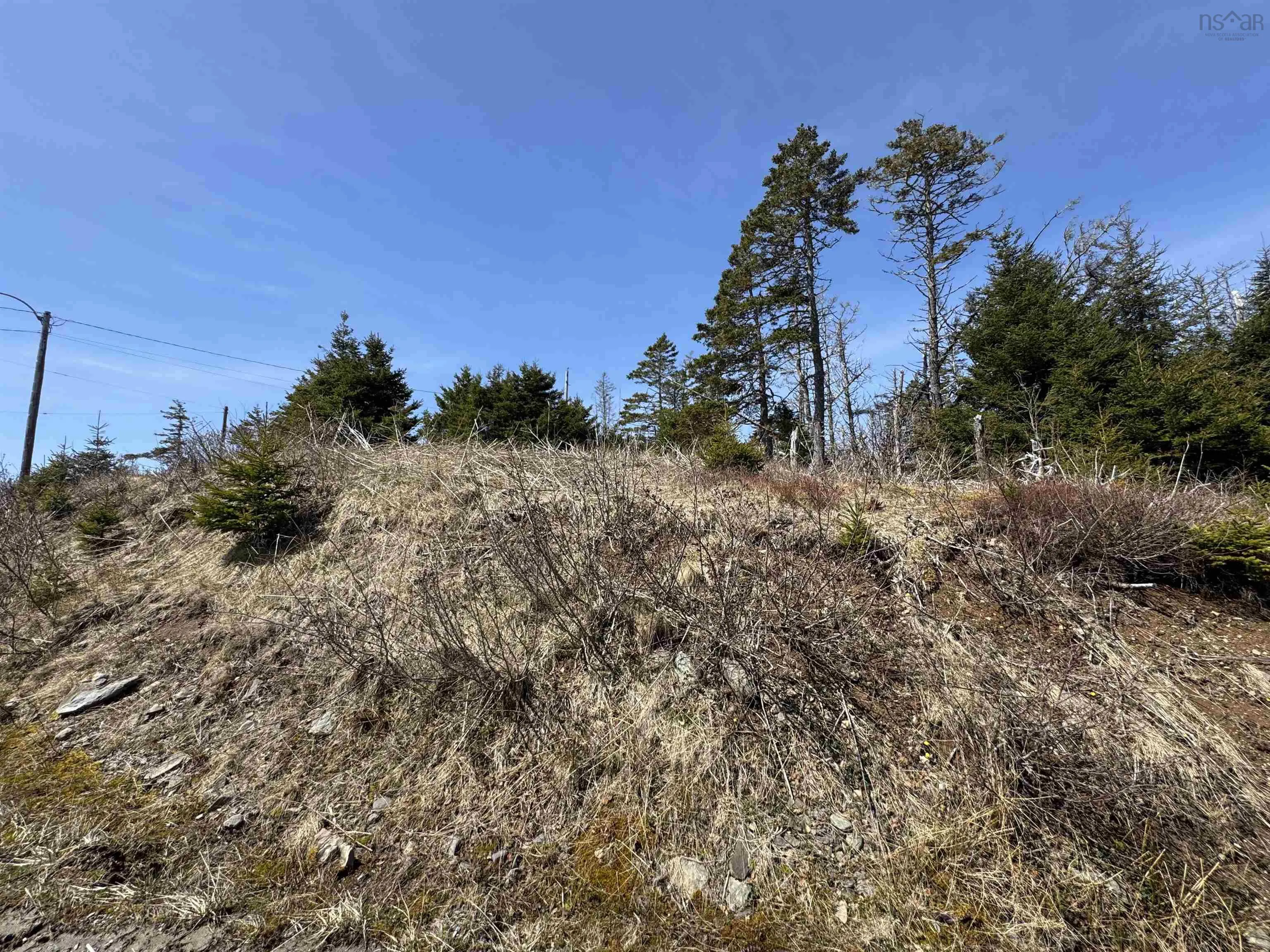 96 Clannon Road, Little Harbour, NS B0E 1W0, ,Land,For Sale,Clannon,202520904