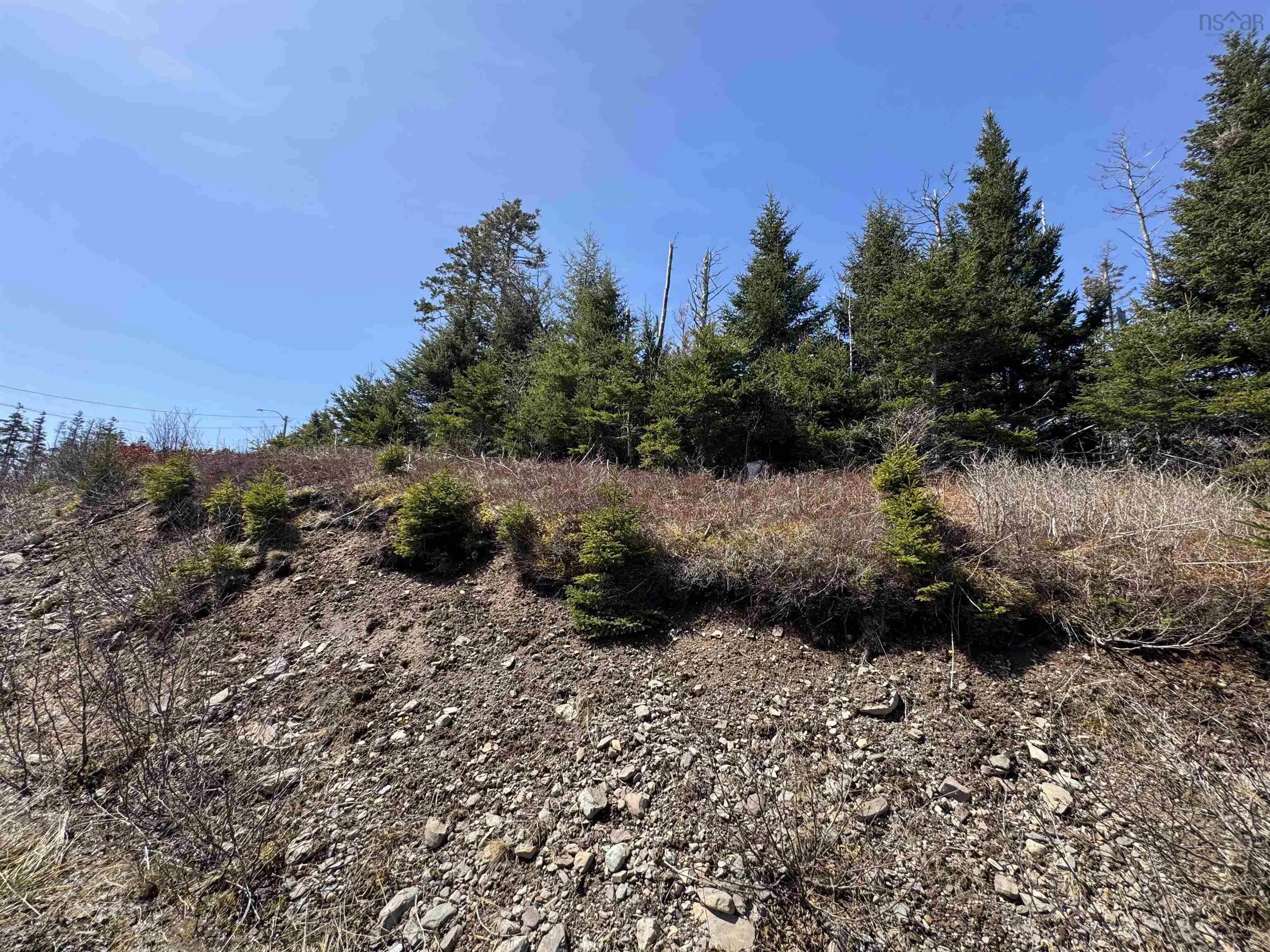 96 Clannon Road, Little Harbour, NS B0E 1W0, ,Land,For Sale,Clannon,202520904