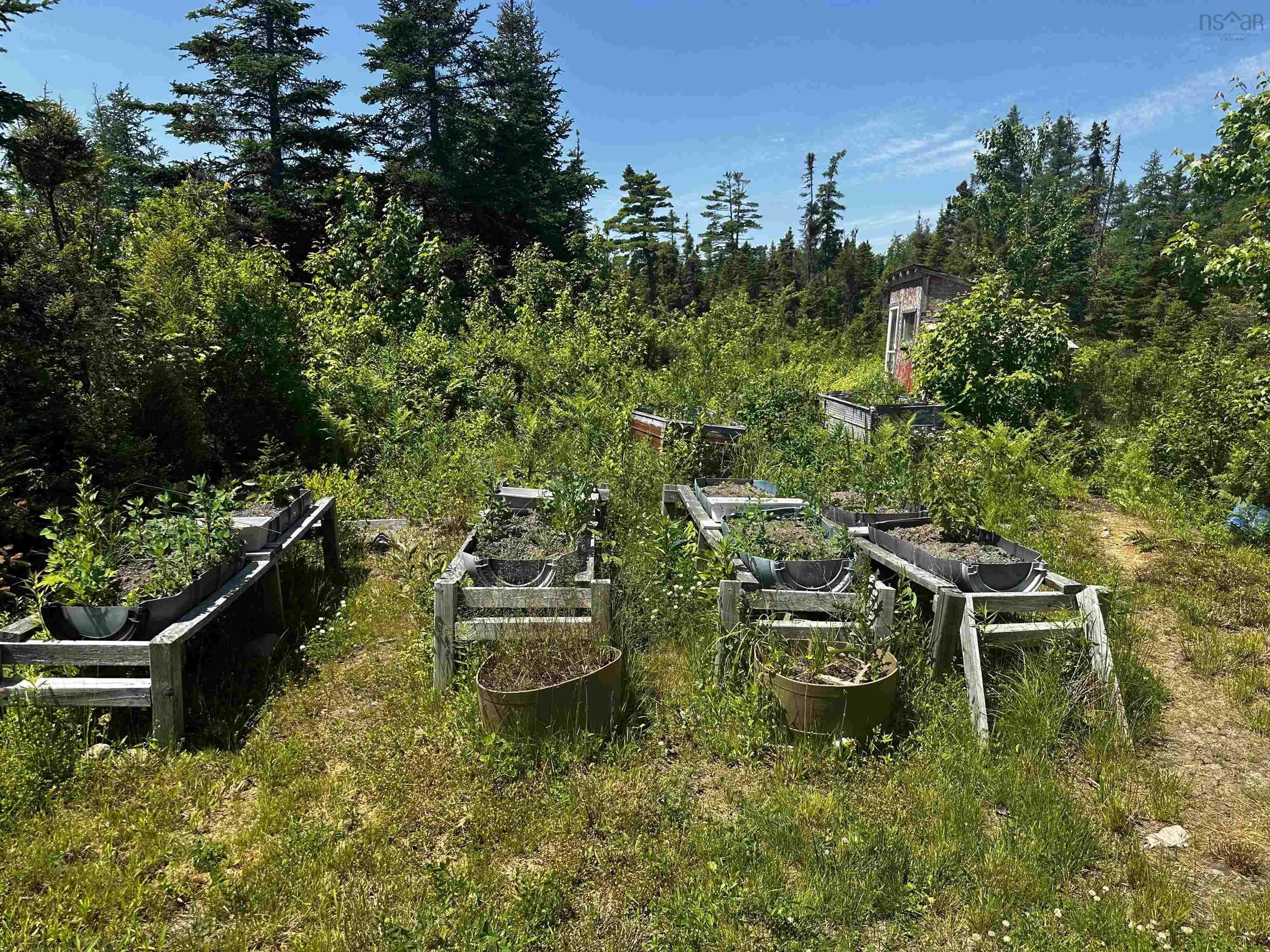 236 Cameron Road, Orangedale, NS B0E 2K0, 2 Bedrooms Bedrooms, ,1 BathroomBathrooms,Residential,For Sale,Cameron,202518265