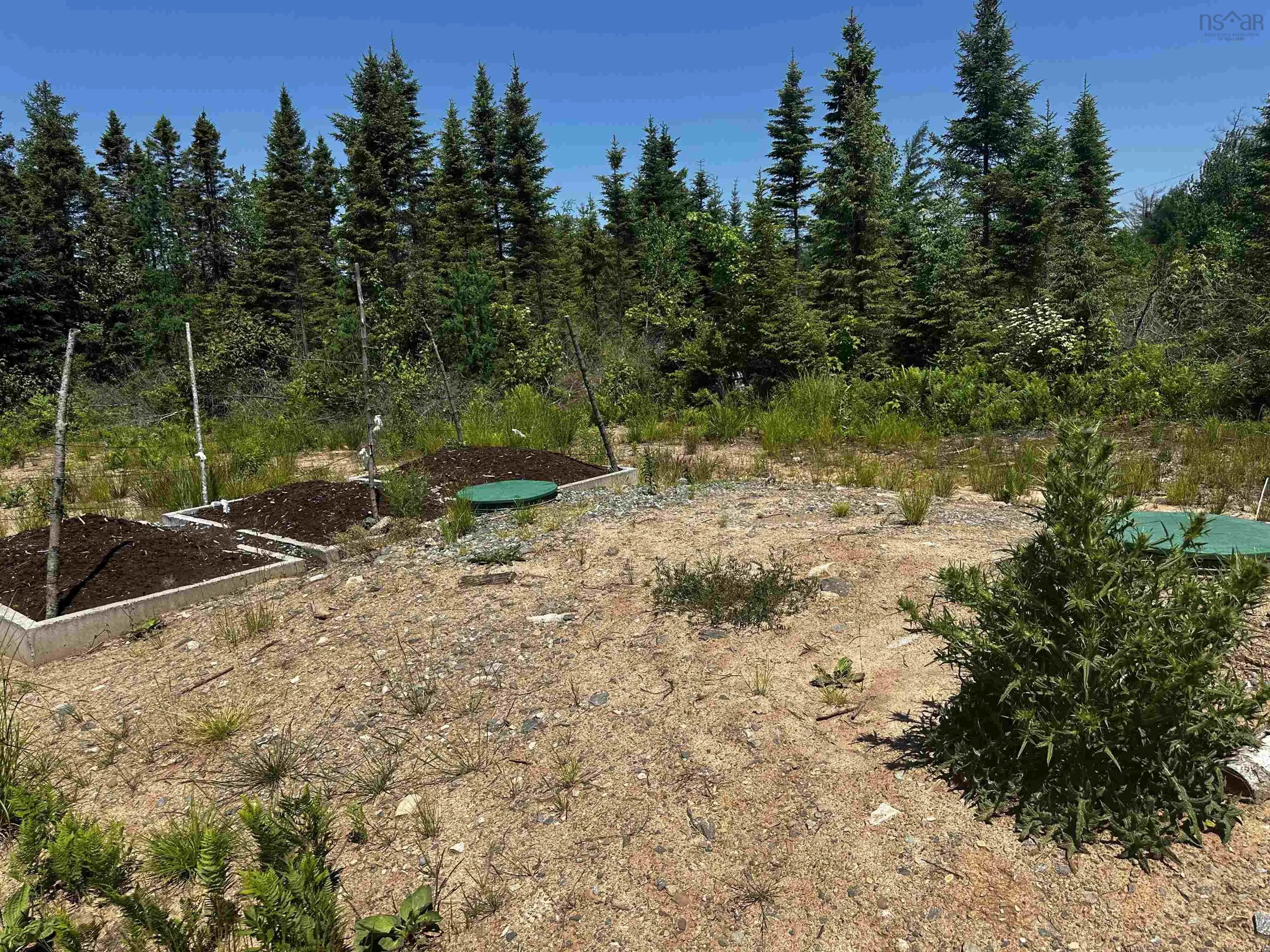 236 Cameron Road, Orangedale, NS B0E 2K0, 2 Bedrooms Bedrooms, ,1 BathroomBathrooms,Residential,For Sale,Cameron,202518265