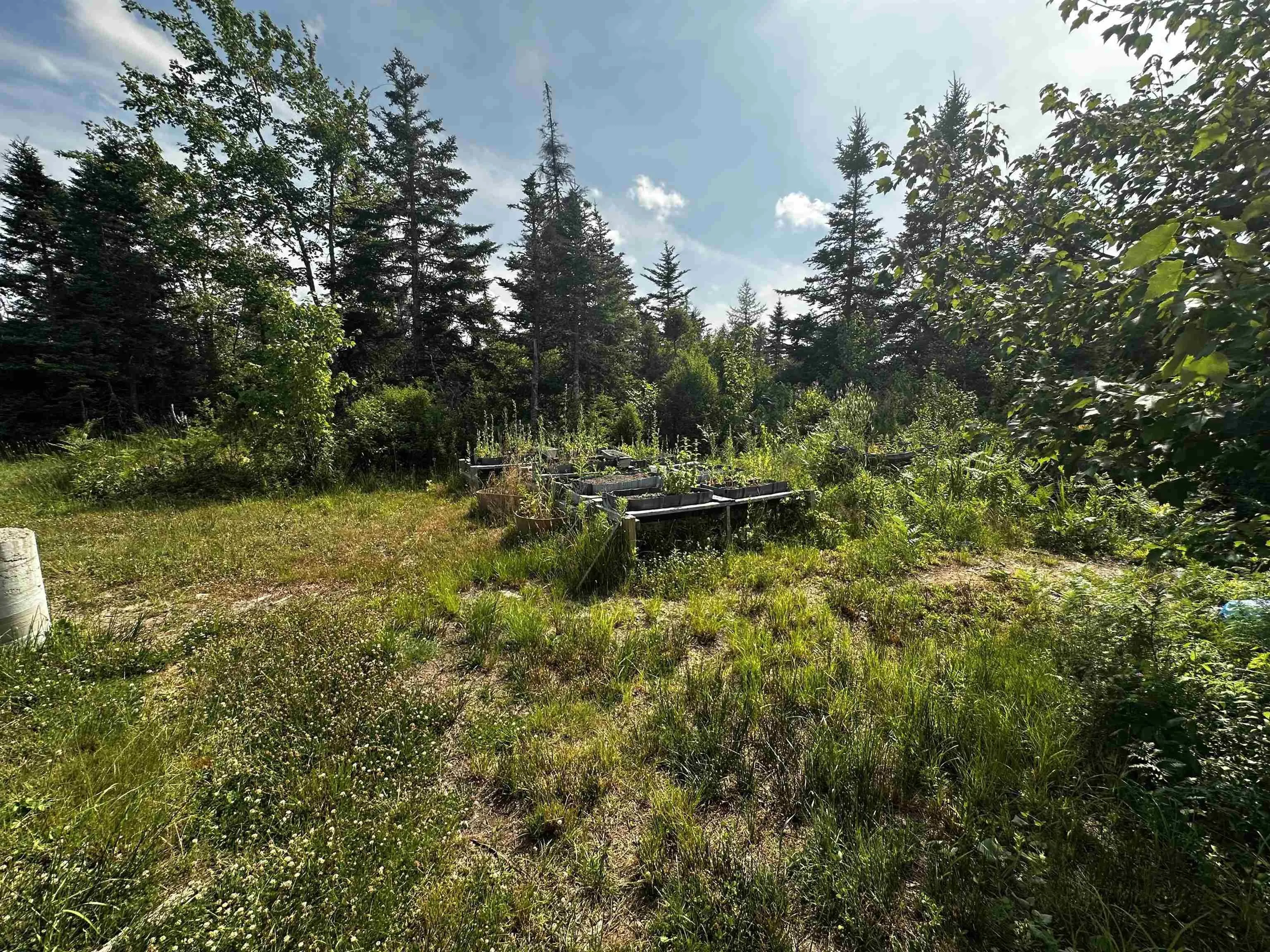 236 Cameron Road, Orangedale, NS B0E 2K0, 2 Bedrooms Bedrooms, ,1 BathroomBathrooms,Residential,For Sale,Cameron,202518265