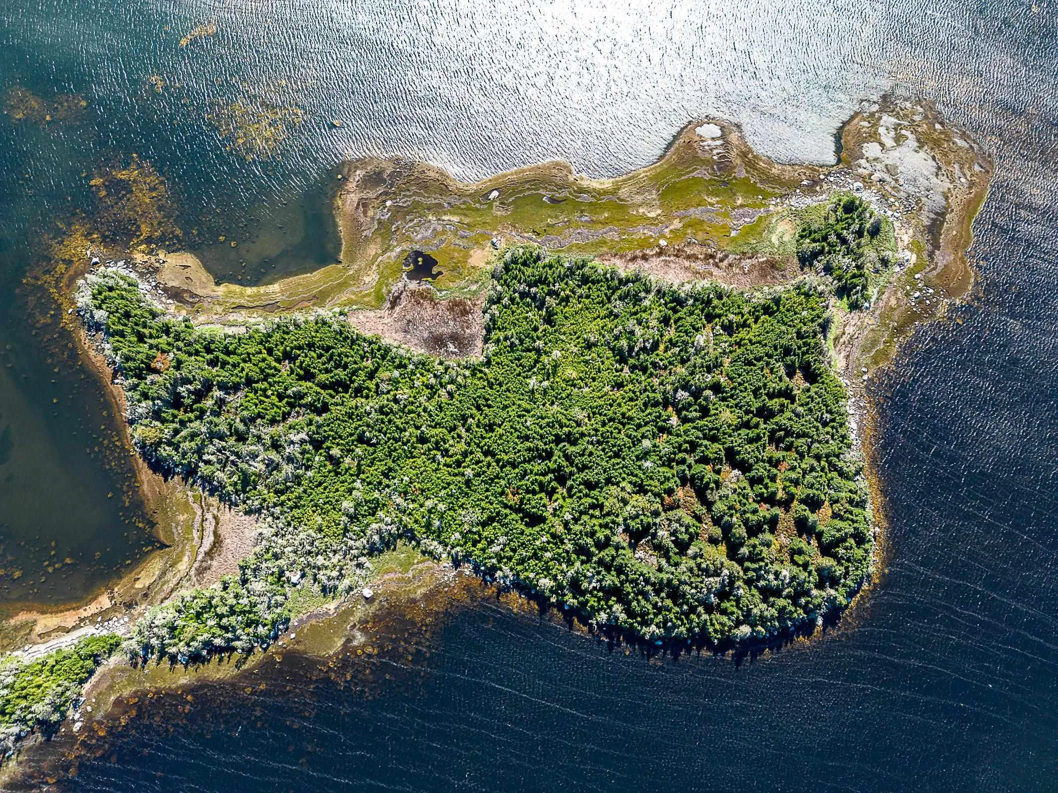 3 Highway Bear Point, Shag Harbour Ns B0w 3b0, ,Land,For Sale,Highway Bear,202423155