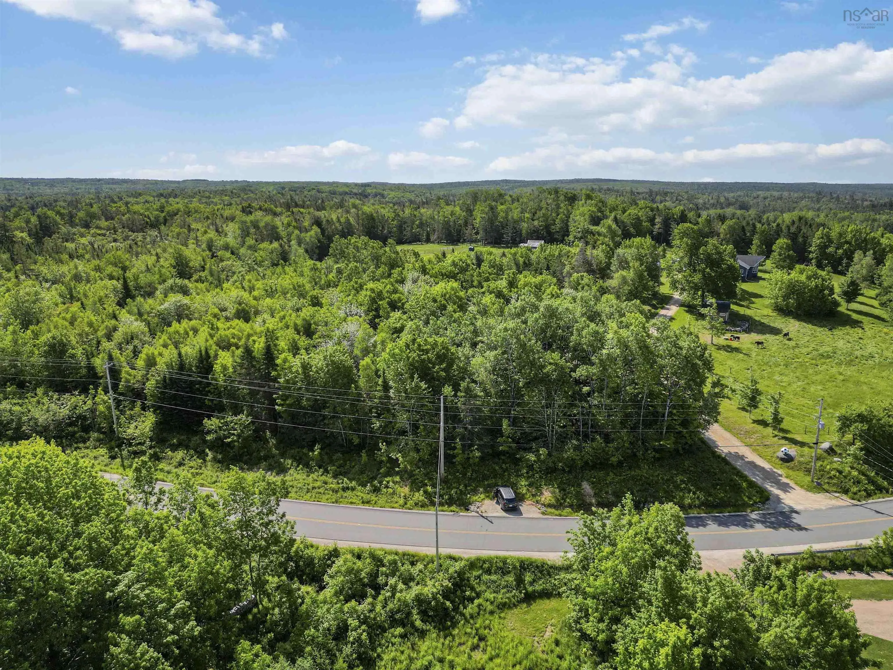 Lot New Russell Road, New Ross, NS B0J 2M0, ,Land,For Sale,New Russell,202520385