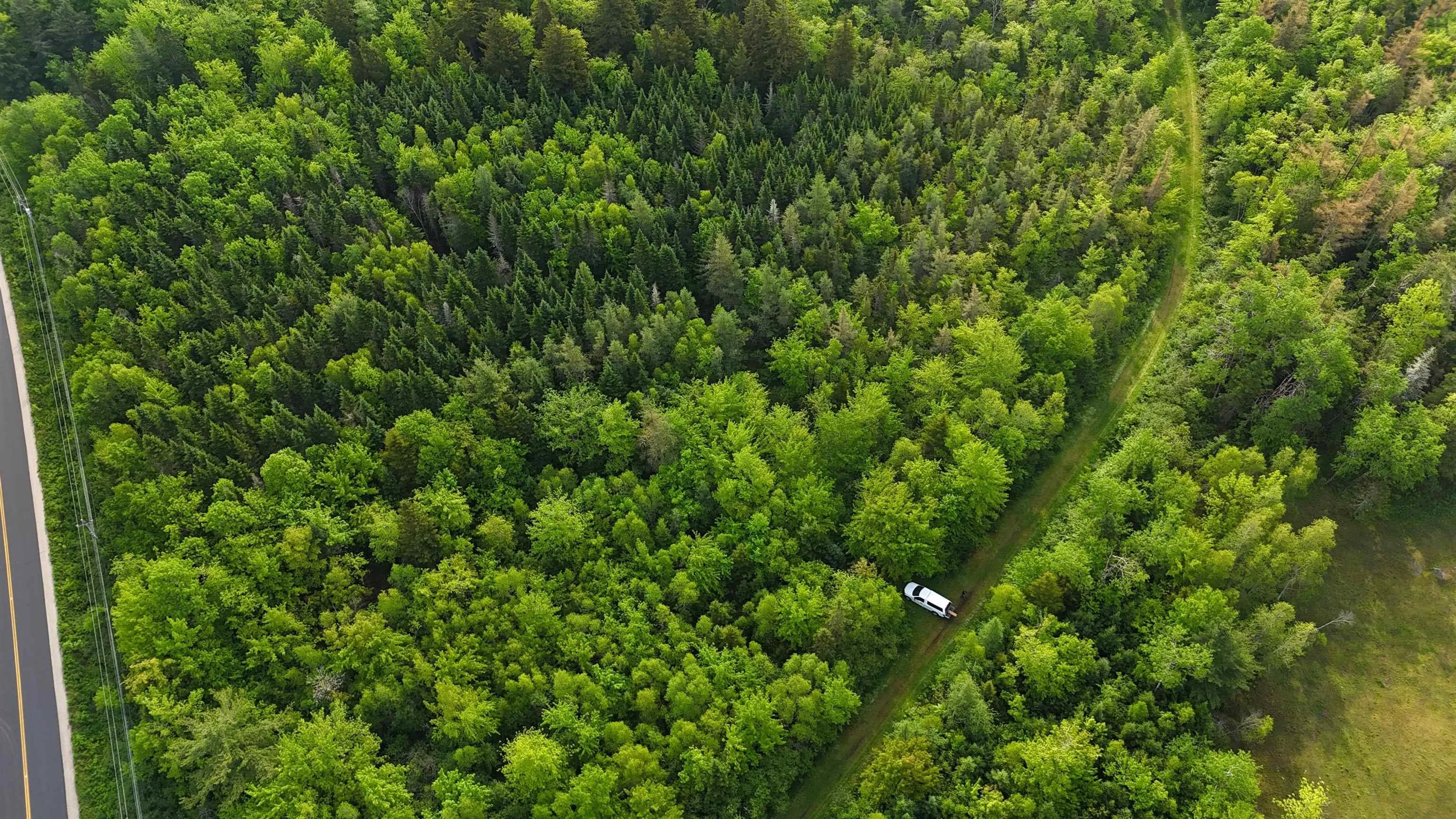 Lot New Russell Road, New Ross, NS B0J 2M0, ,Land,For Sale,New Russell,202520385