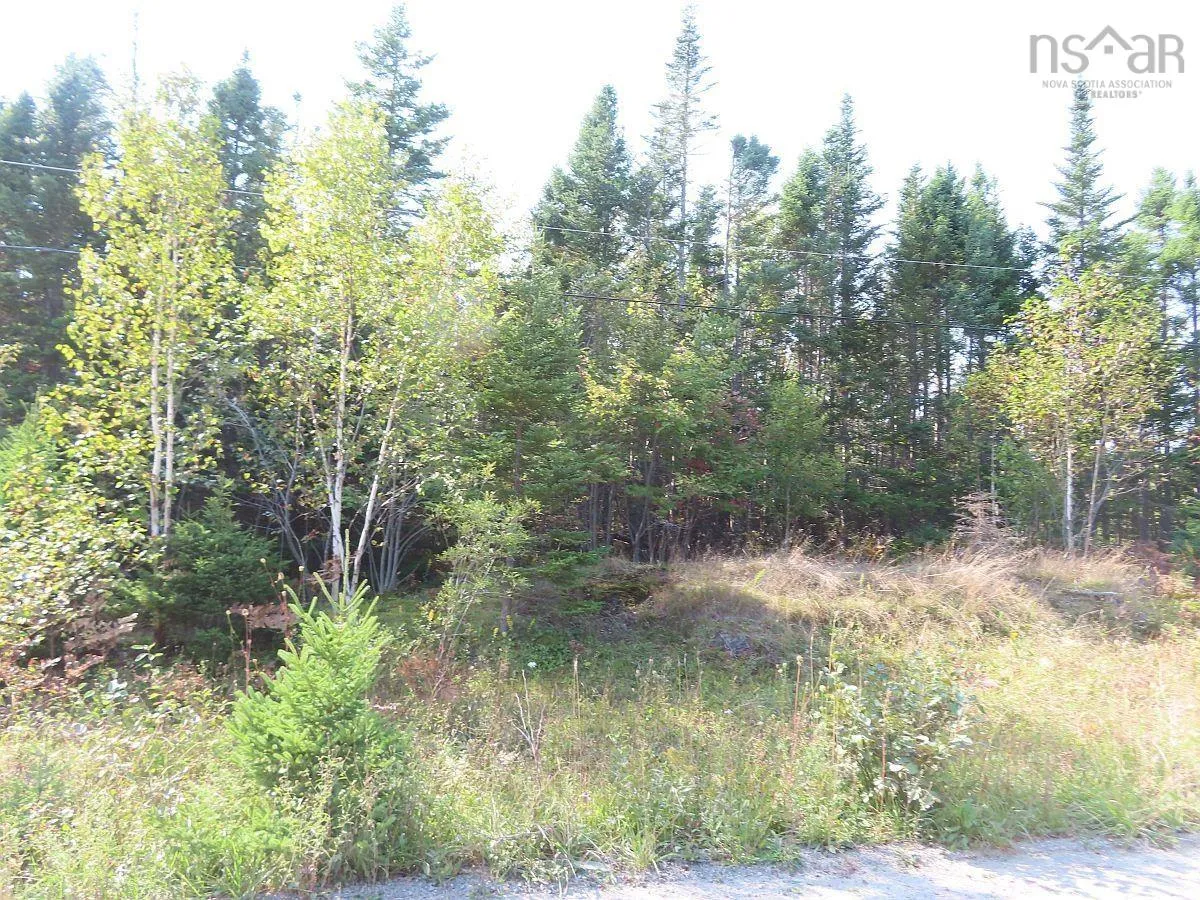 Lot 5 Basin Road, Evanston Ns B0e 1j0, ,Land,For Sale,Basin,202422890