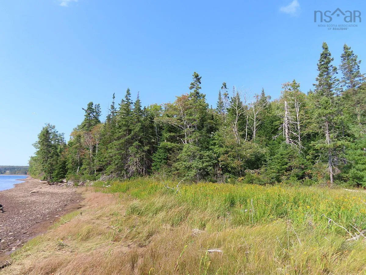 Lot 5 Basin Road, Evanston Ns B0e 1j0, ,Land,For Sale,Basin,202422890