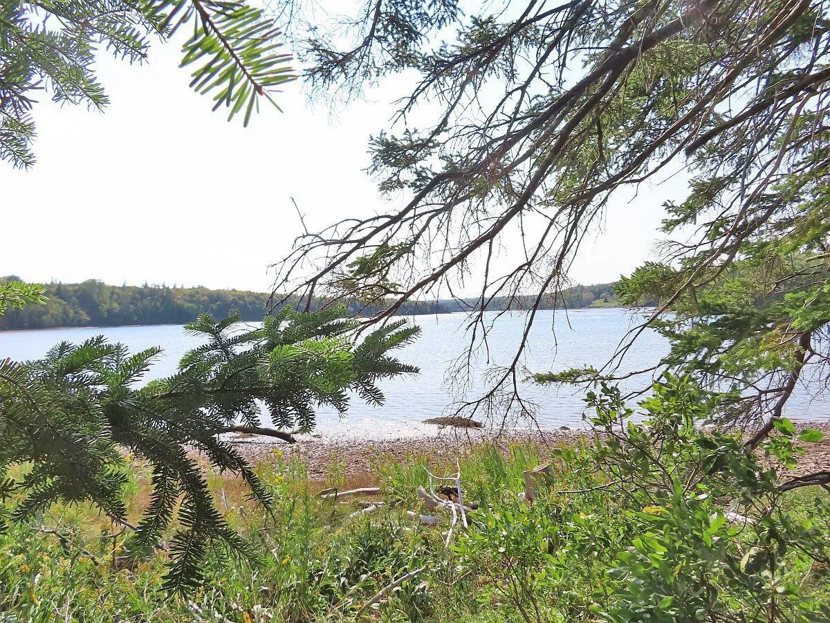 Lot 5 Basin Road, Evanston Ns B0e 1j0, ,Land,For Sale,Basin,202422890