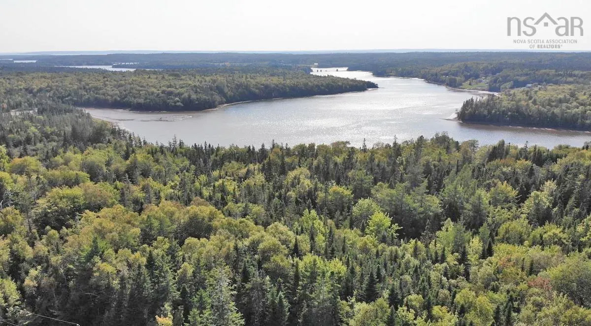Lot 5 Basin Road, Evanston Ns B0e 1j0, ,Land,For Sale,Basin,202422890