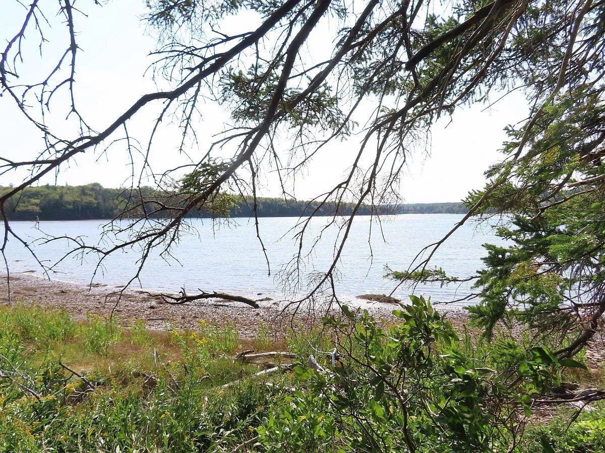 Lot 5 Basin Road, Evanston Ns B0e 1j0, ,Land,For Sale,Basin,202422890