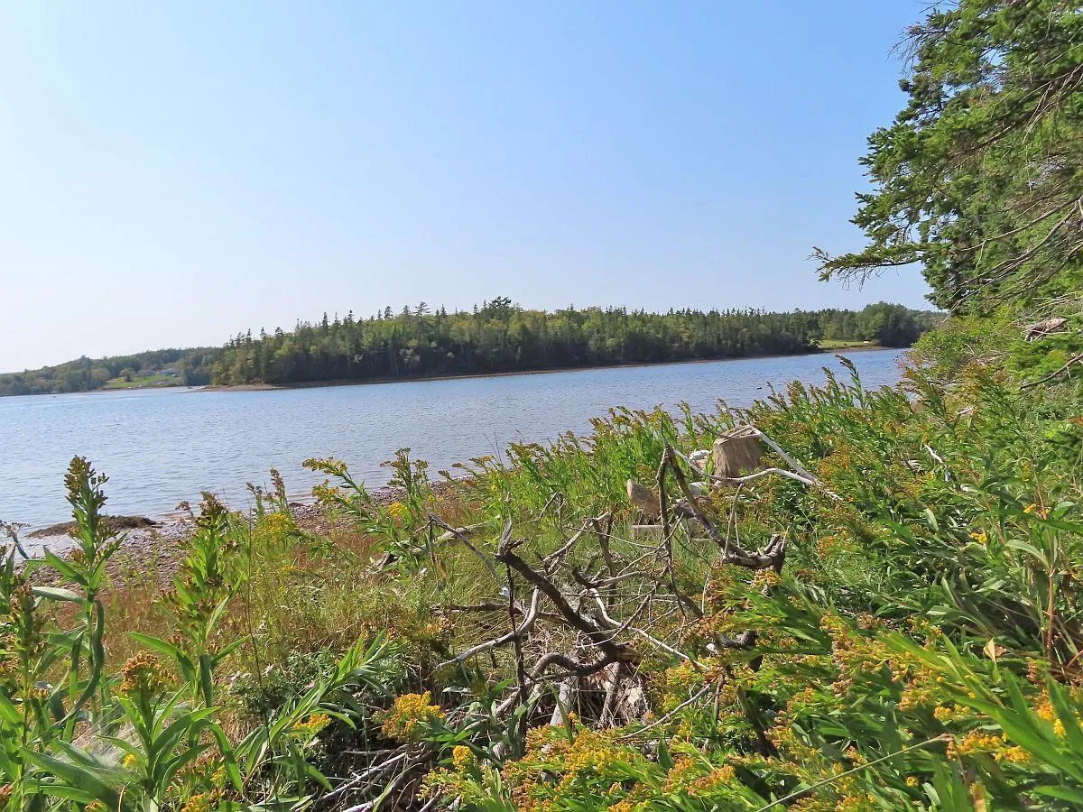 Lot 5 Basin Road, Evanston Ns B0e 1j0, ,Land,For Sale,Basin,202422890