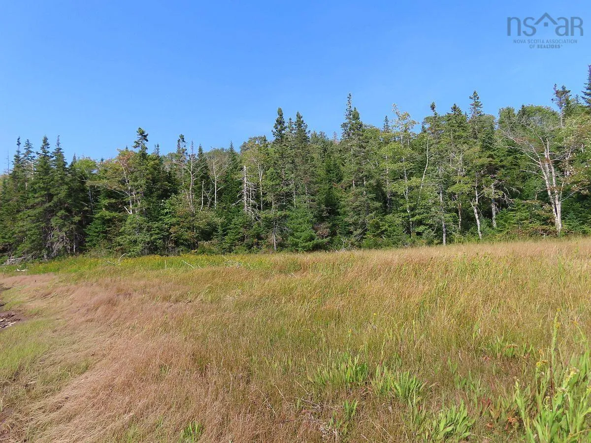 Lot 5 Basin Road, Evanston Ns B0e 1j0, ,Land,For Sale,Basin,202422890