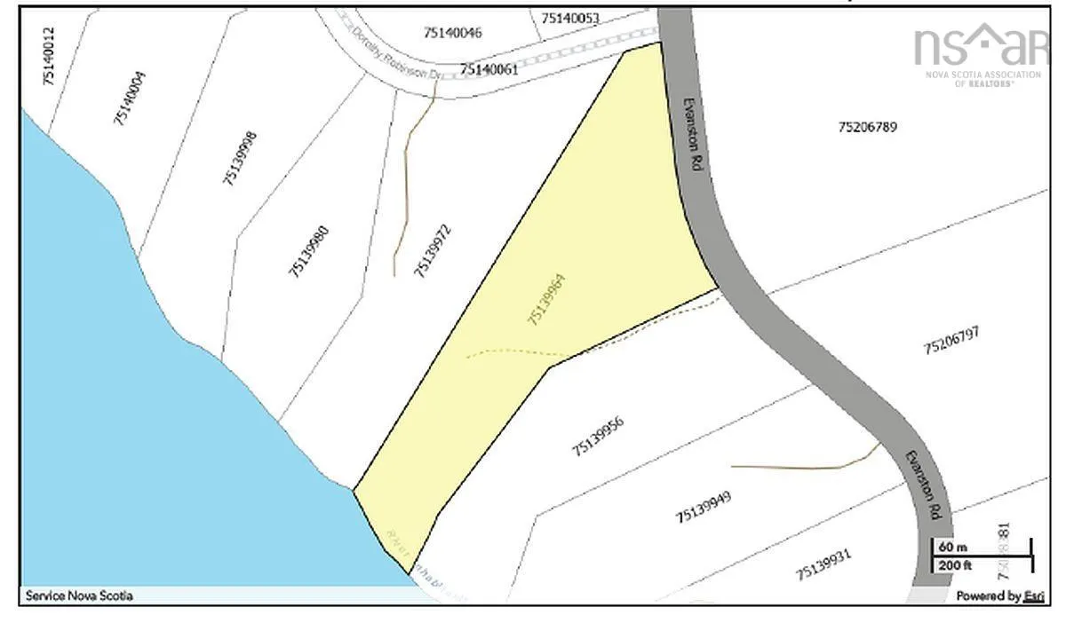 Lot 5 Basin Road, Evanston Ns B0e 1j0, ,Land,For Sale,Basin,202422890