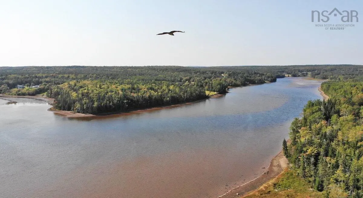 Lot 5 Basin Road, Evanston Ns B0e 1j0, ,Land,For Sale,Basin,202422890