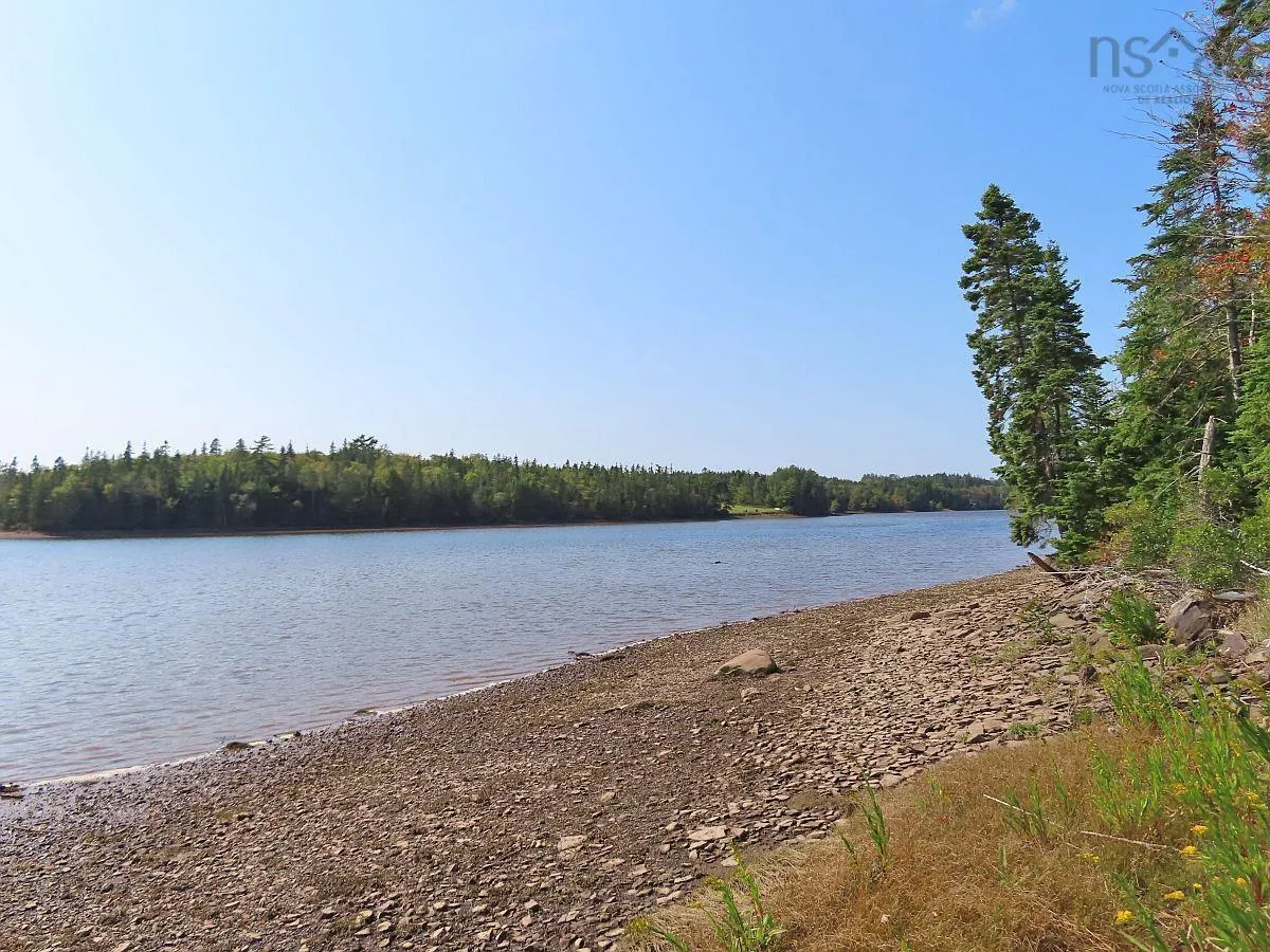 Lot 5 Basin Road, Evanston Ns B0e 1j0, ,Land,For Sale,Basin,202422890
