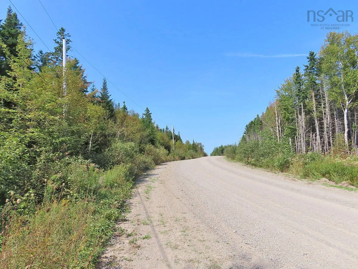 Lot 5 Basin Road, Evanston Ns B0e 1j0, ,Land,For Sale,Basin,202422890