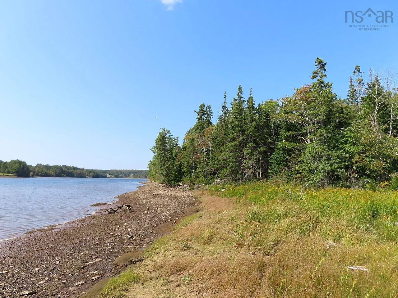 Lot 5 Basin Road, Evanston Ns B0e 1j0, ,Land,For Sale,Basin,202422890