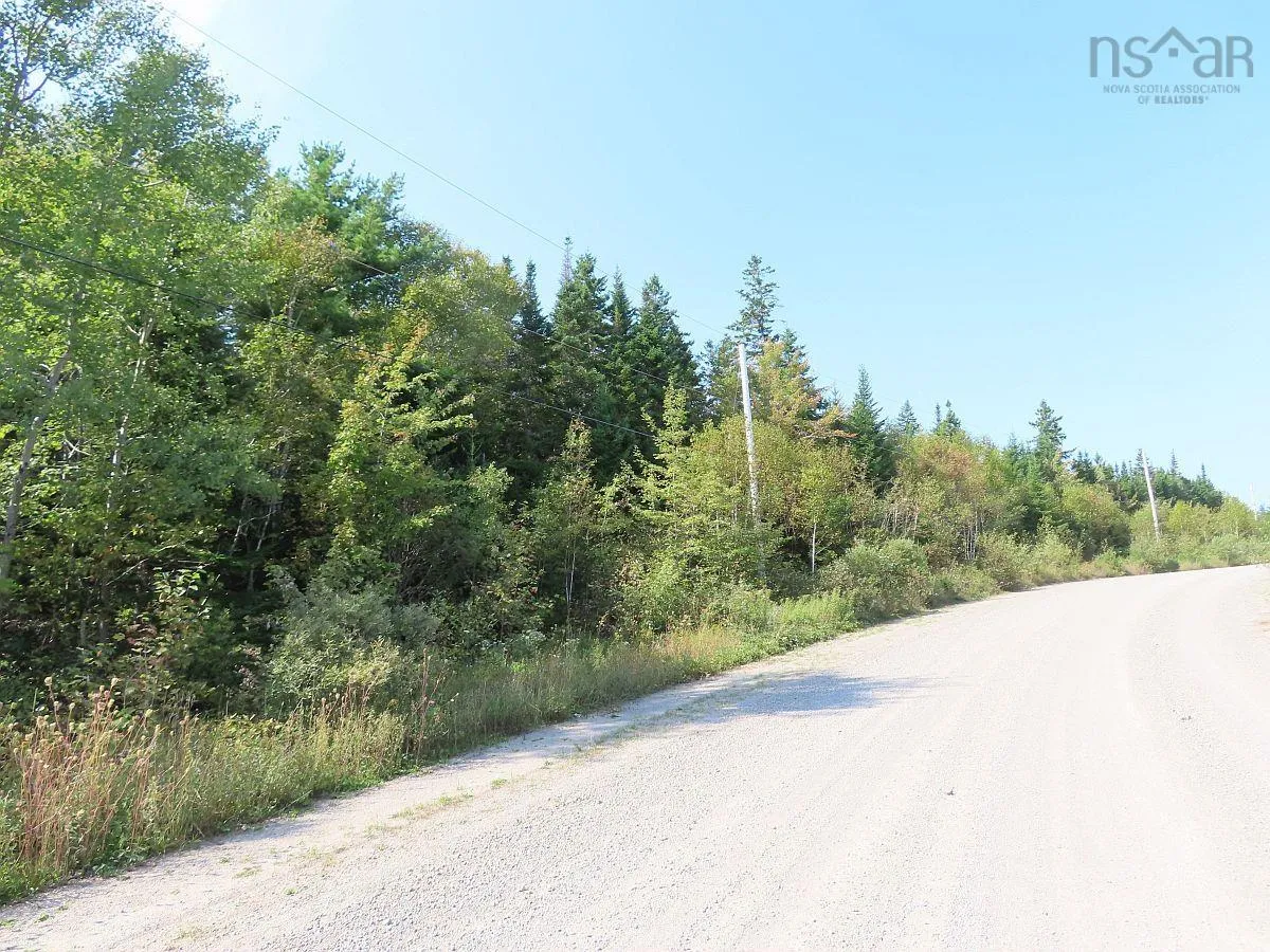 Lot 5 Basin Road, Evanston Ns B0e 1j0, ,Land,For Sale,Basin,202422890