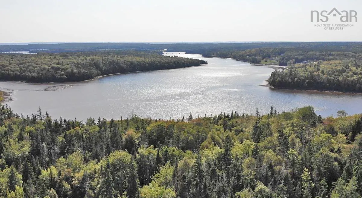 Lot 5 Basin Road, Evanston Ns B0e 1j0, ,Land,For Sale,Basin,202422890