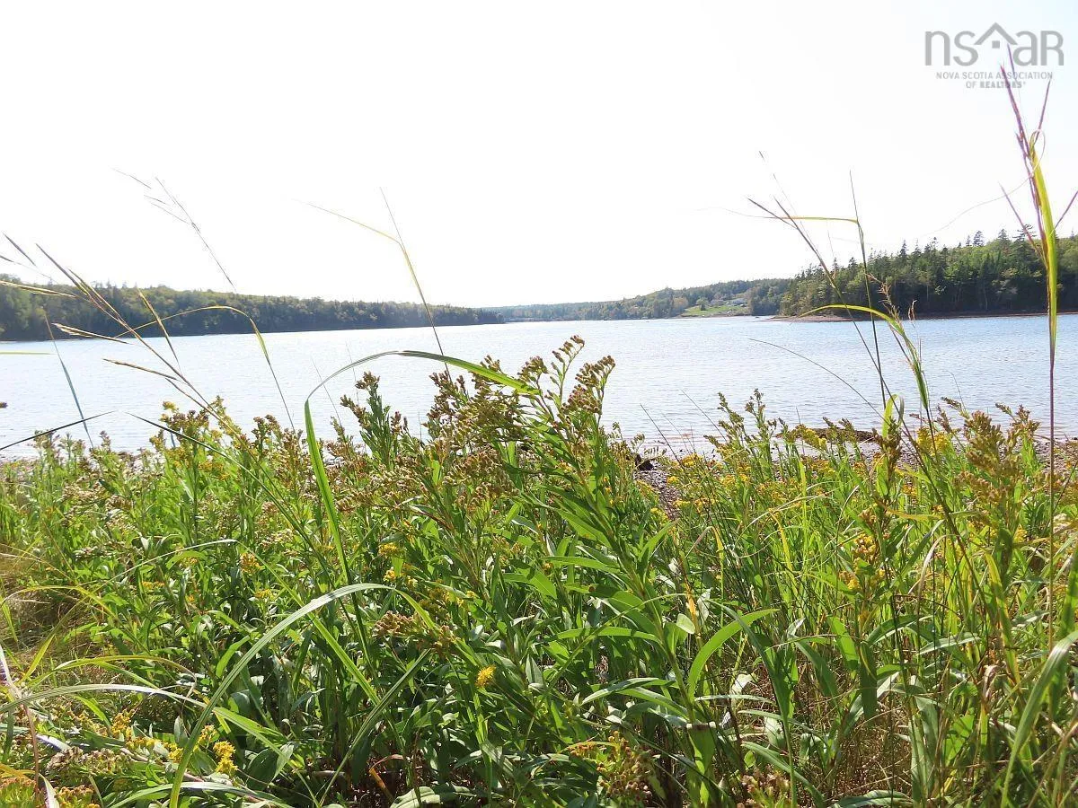 Lot 5 Basin Road, Evanston Ns B0e 1j0, ,Land,For Sale,Basin,202422890