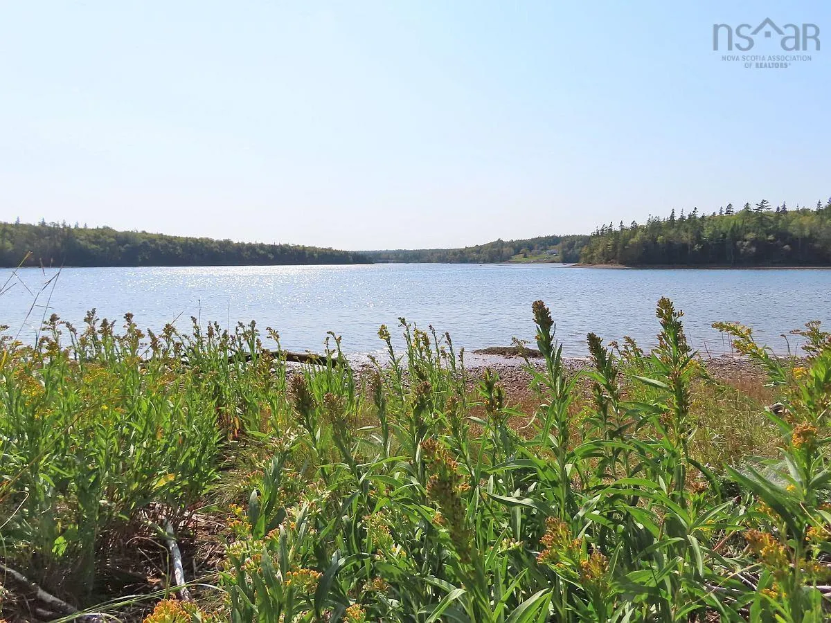 Lot 5 Basin Road, Evanston Ns B0e 1j0, ,Land,For Sale,Basin,202422890