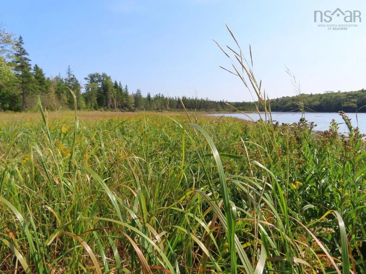 Lot 5 Basin Road, Evanston Ns B0e 1j0, ,Land,For Sale,Basin,202422890