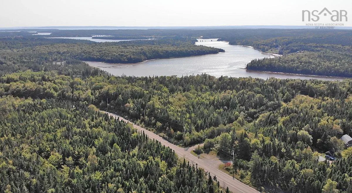 Lot 5 Basin Road, Evanston Ns B0e 1j0, ,Land,For Sale,Basin,202422890