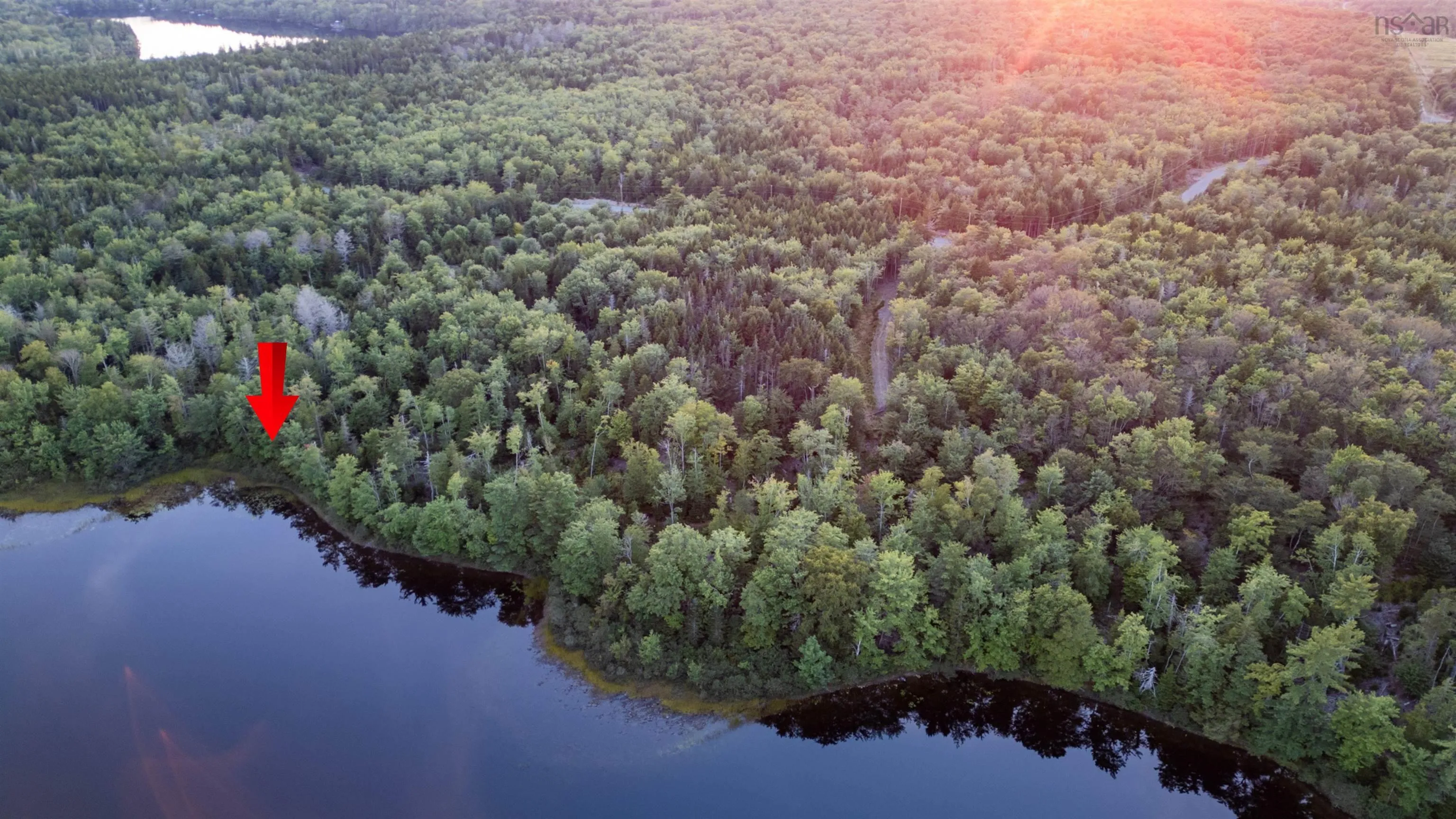 Lot 6 R & N Road, Carleton Ns B5a 5r2, ,Land,For Sale,R & N,202426880