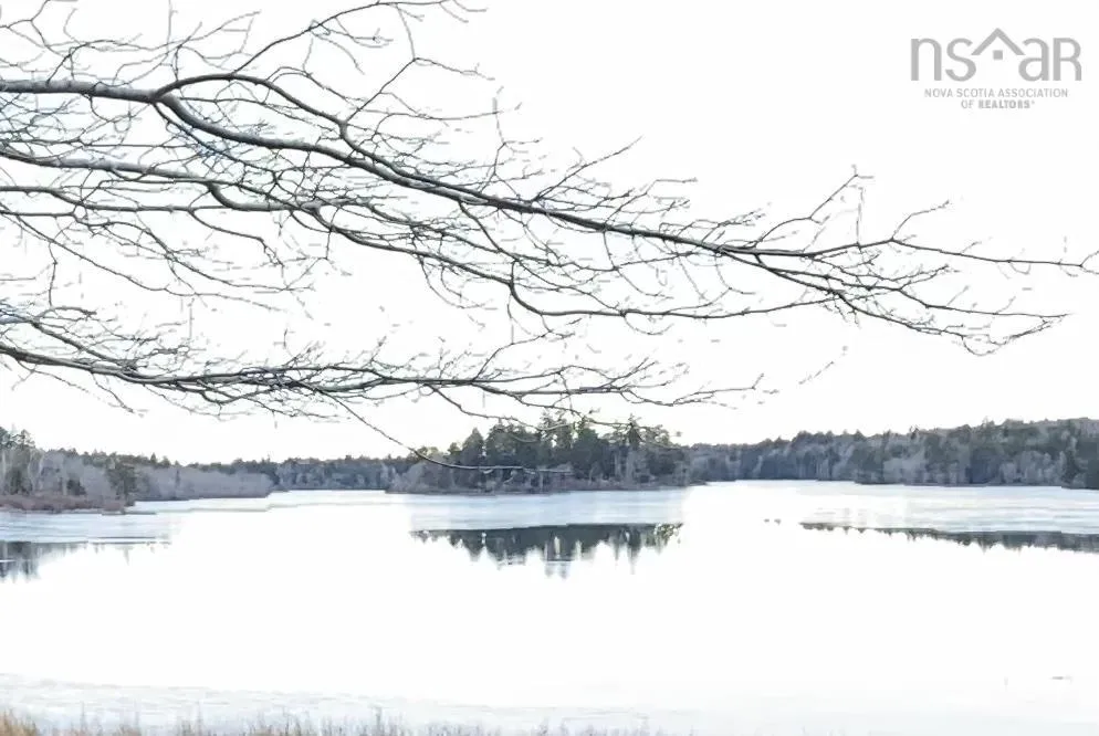 0 Two Island Lake Island, Woodstock Ns B5a 5l6, ,Land,For Sale,Two Island Lake,202404272