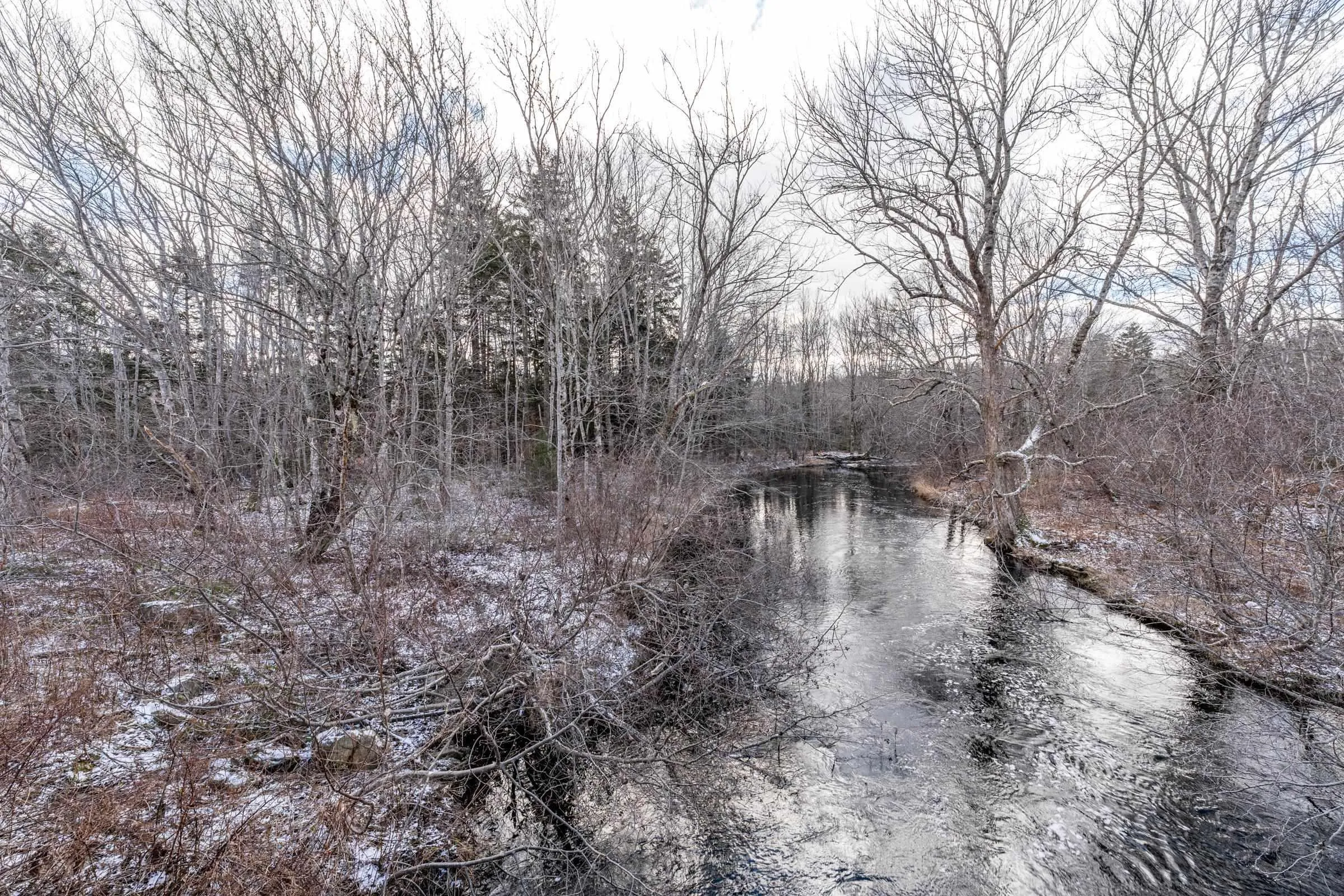 Lot 29 Patrice Road, St. Joseph Ns B0w 1m0, ,Land,For Sale,Patrice Road,202411262