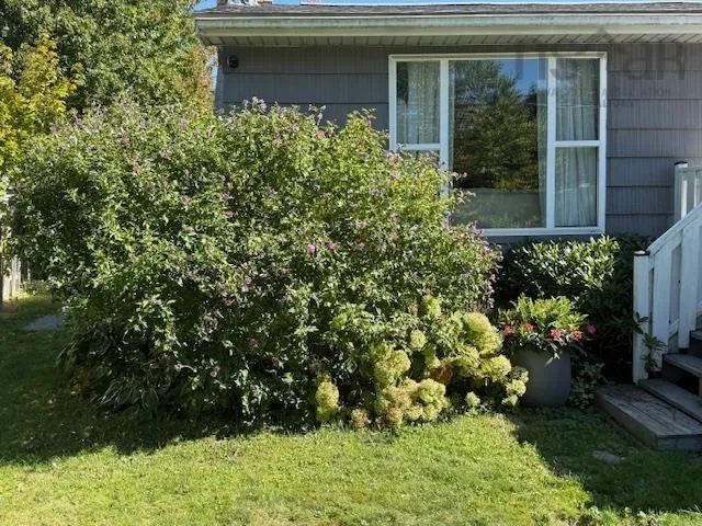 434 Waverley Road, Dartmouth, NS B2X 2G2, 3 Bedrooms Bedrooms, ,2 BathroomsBathrooms,Residential,For Sale,Waverley,202524840