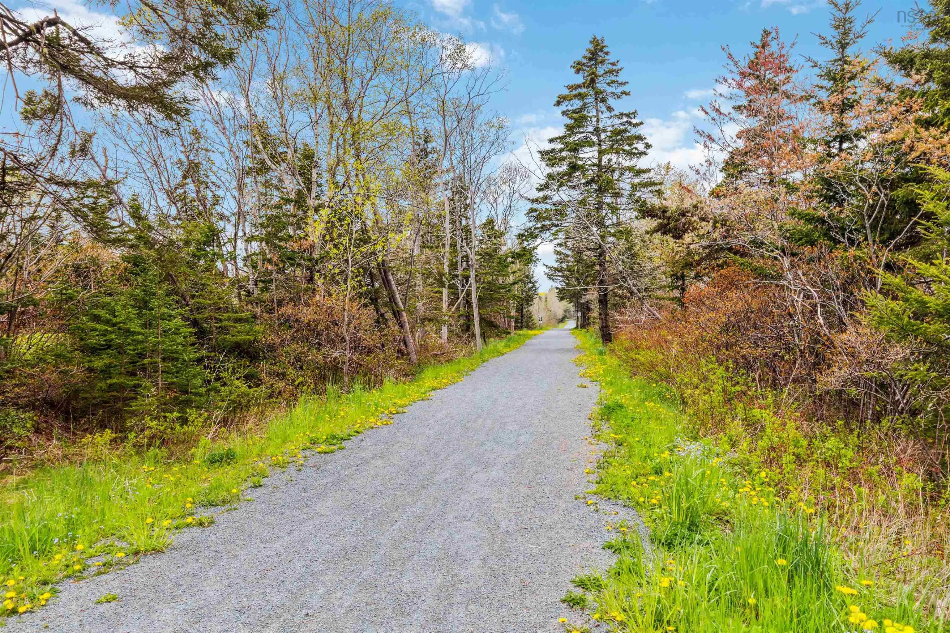 15 Loon Lane, Three Fathom Harbour, NS B0J 2L0, 3 Bedrooms Bedrooms, ,3 BathroomsBathrooms,Residential,For Sale,Loon,202511705