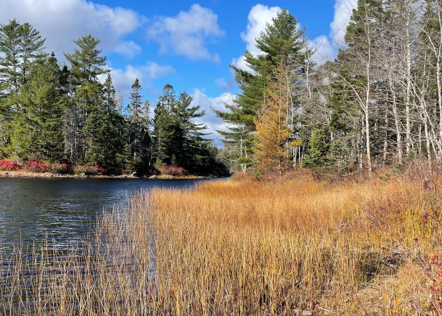 Heritage Way, East Uniacke Ns B0n 1z0, ,Land,For Sale,Heritage,202426515