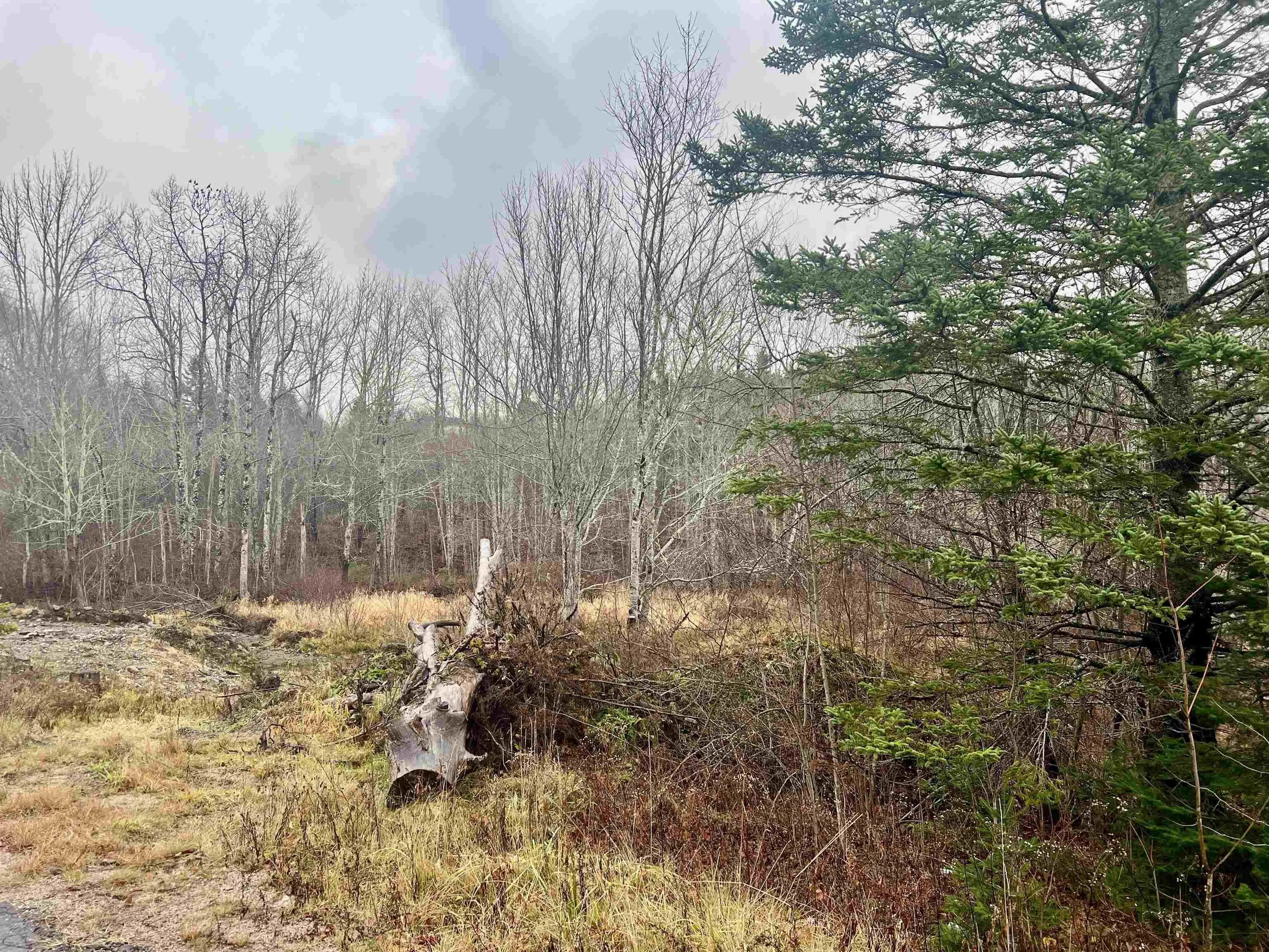 1284 Peck Meadow Road, Greenfield Ns B4p 2r1, ,Land,For Sale,Peck Meadow,202427480