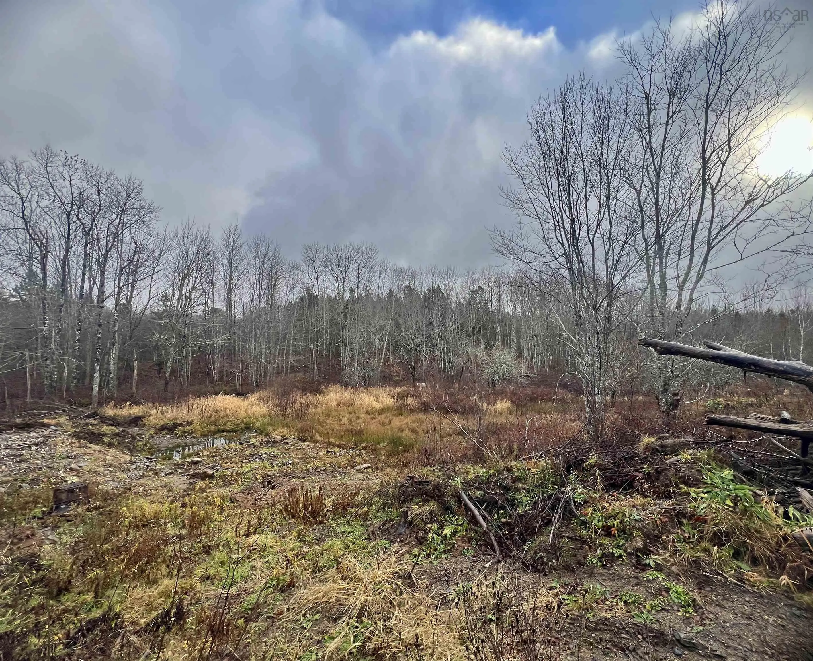 1284 Peck Meadow Road, Greenfield Ns B4p 2r1, ,Land,For Sale,Peck Meadow,202427480