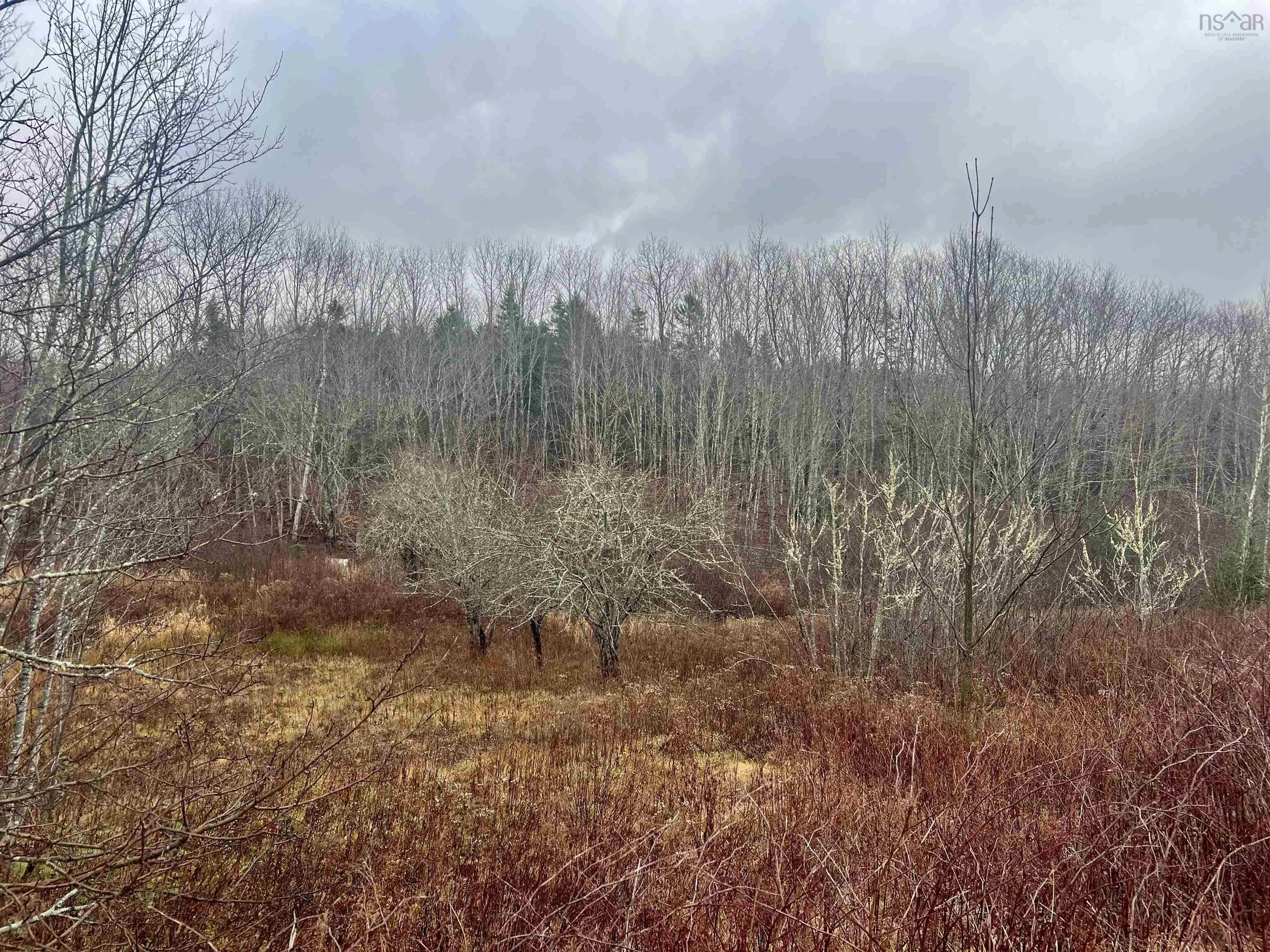1284 Peck Meadow Road, Greenfield Ns B4p 2r1, ,Land,For Sale,Peck Meadow,202427480