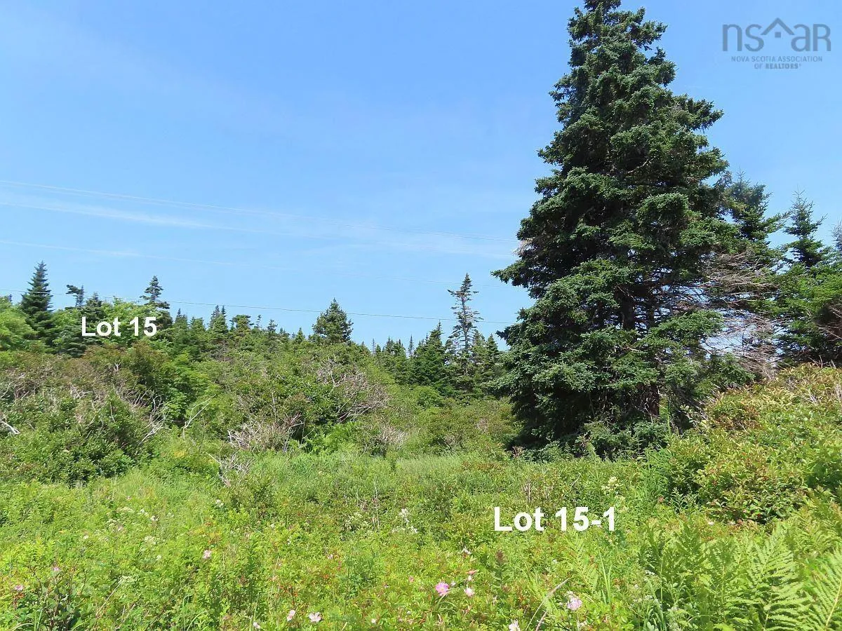 Lots 15 & 15-1 316 (english Harbour) Highway, Cole Harbour, NS B0H 1T0, ,Land,For Sale,Hwy 316 (English Hbr),202514326