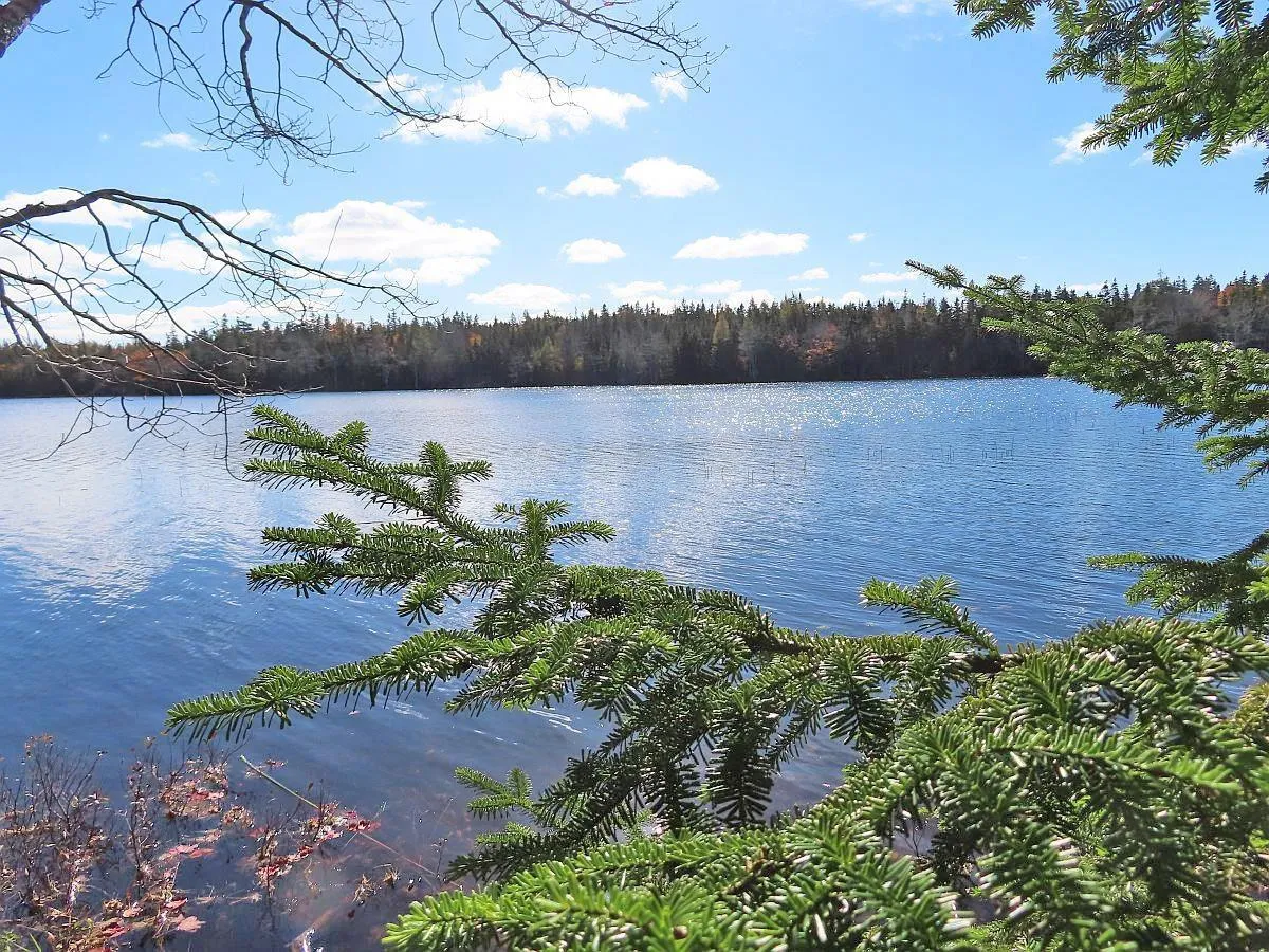 Salem Road, Loch Lomond Ns B2e 0a1, ,Land,For Sale,Salem,202322757
