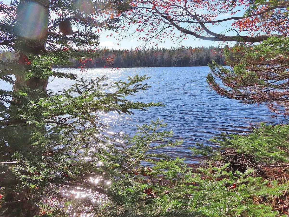 Salem Road, Loch Lomond Ns B2e 0a1, ,Land,For Sale,Salem,202322757