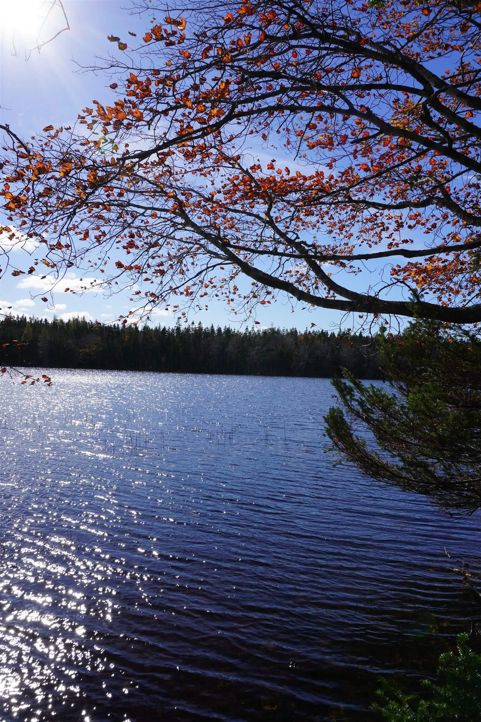 Salem Road, Loch Lomond Ns B2e 0a1, ,Land,For Sale,Salem,202322757
