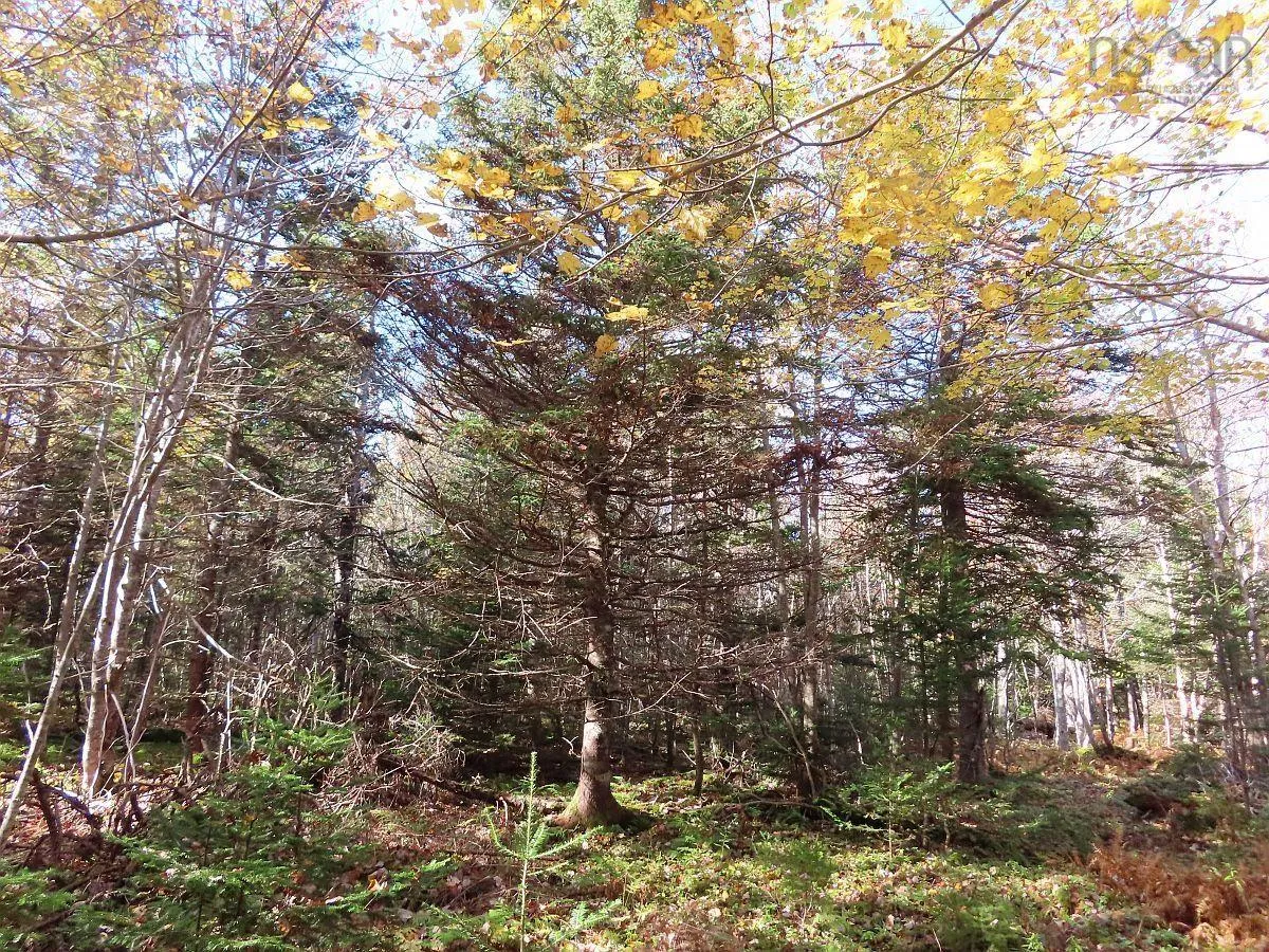 Salem Road, Loch Lomond Ns B2e 0a1, ,Land,For Sale,Salem,202322757