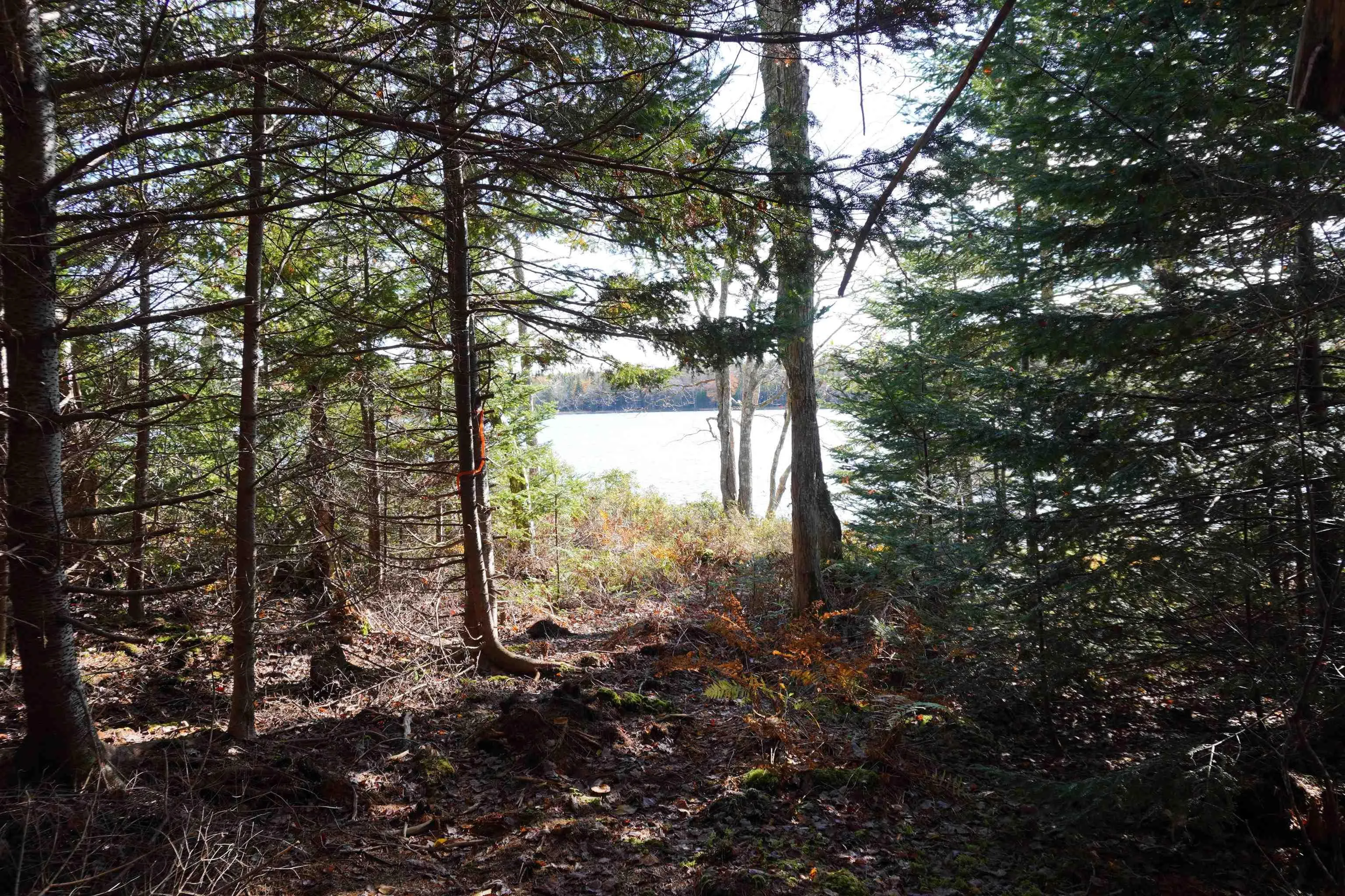 Salem Road, Loch Lomond Ns B2e 0a1, ,Land,For Sale,Salem,202322757