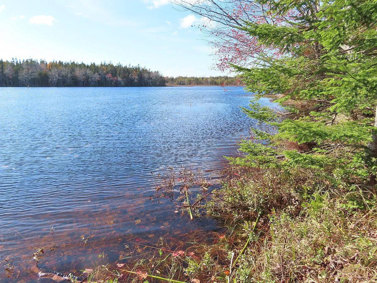 Salem Road, Loch Lomond Ns B2e 0a1, ,Land,For Sale,Salem,202322757