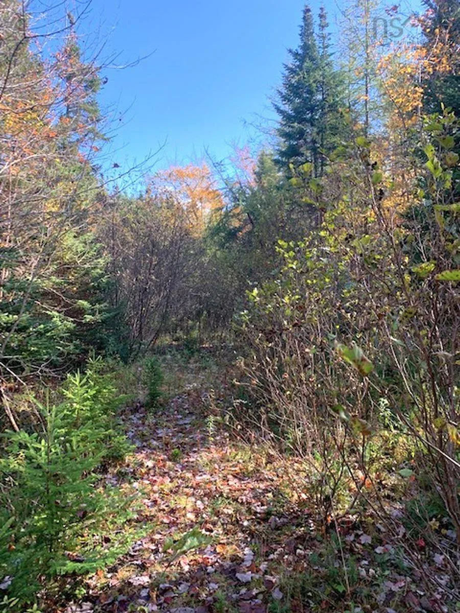 Salem Road, Loch Lomond Ns B2e 0a1, ,Land,For Sale,Salem,202322757